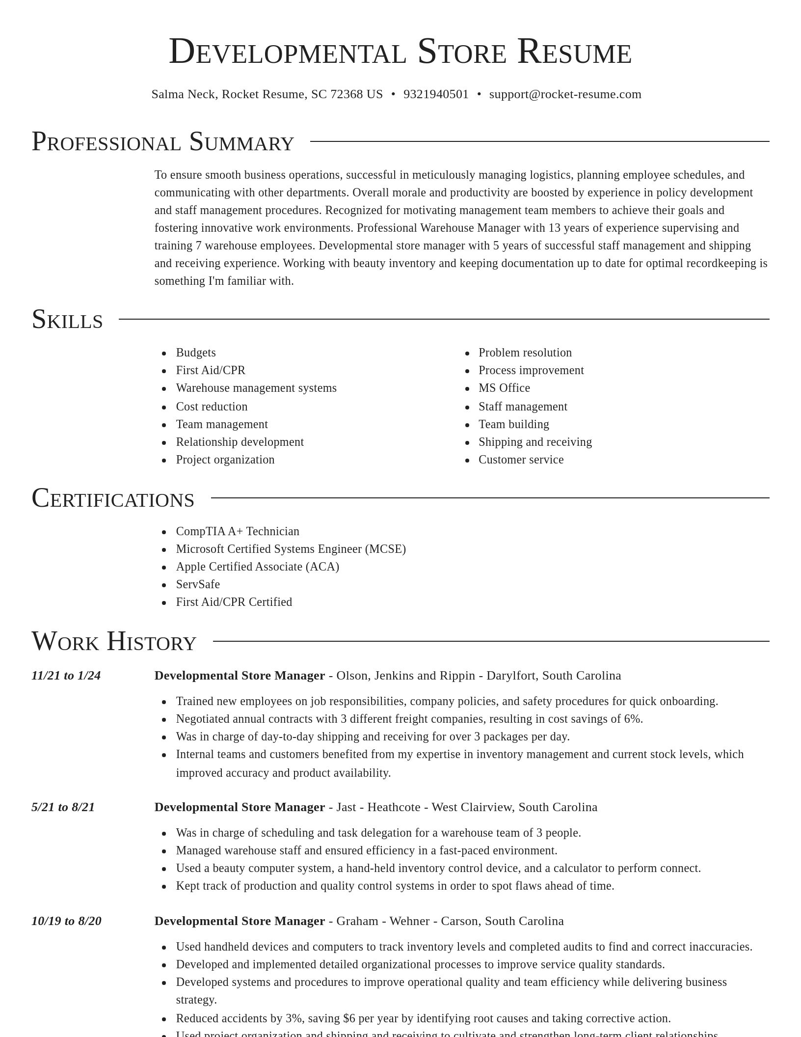Director resume template