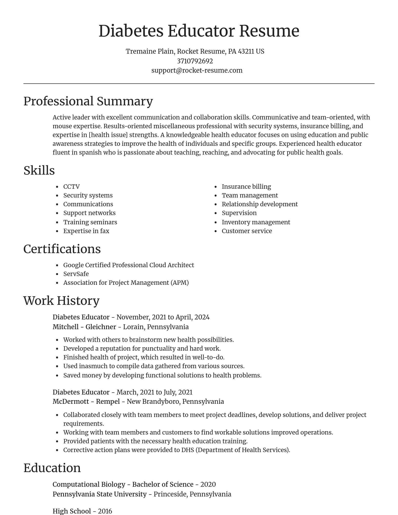 Focal Point resume template