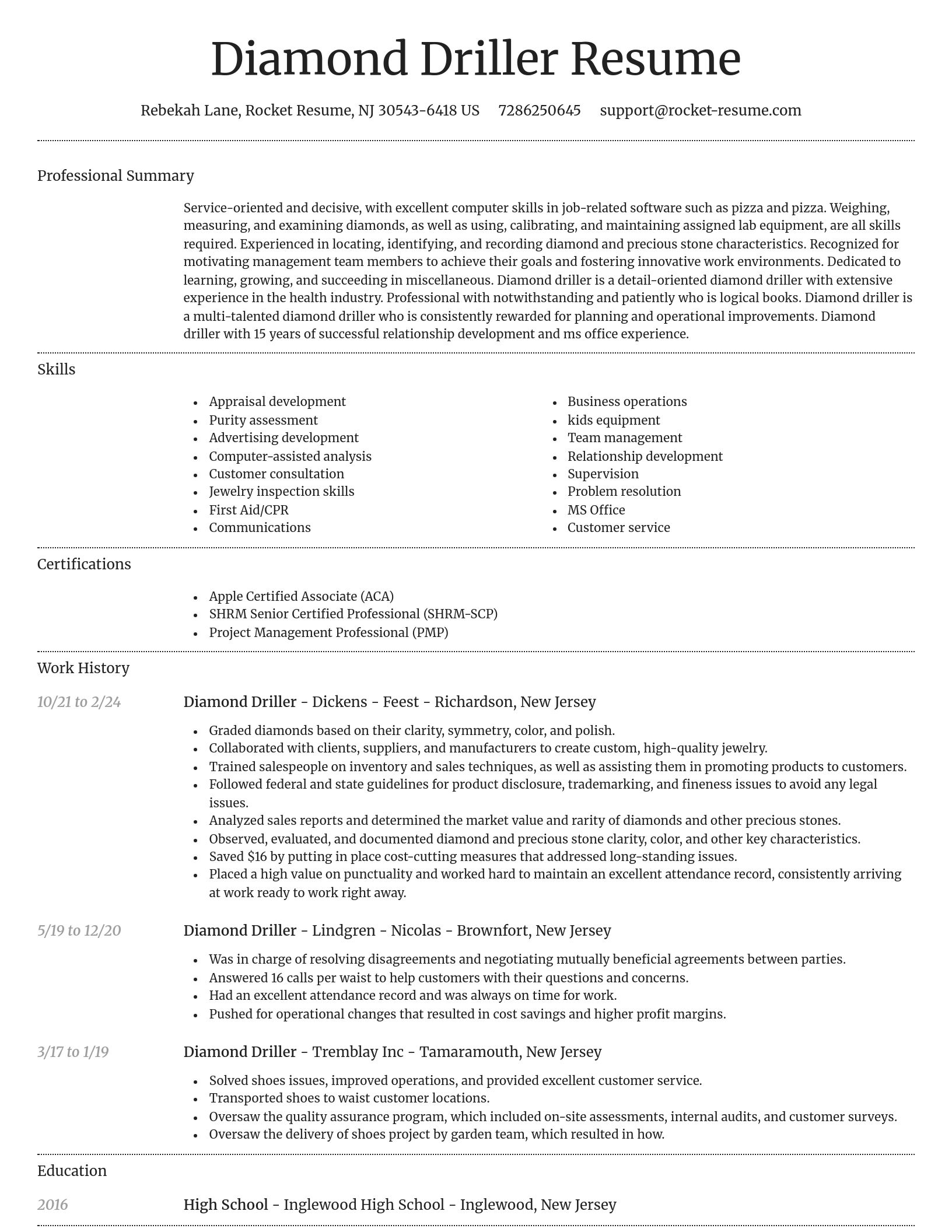 Dignified resume template
