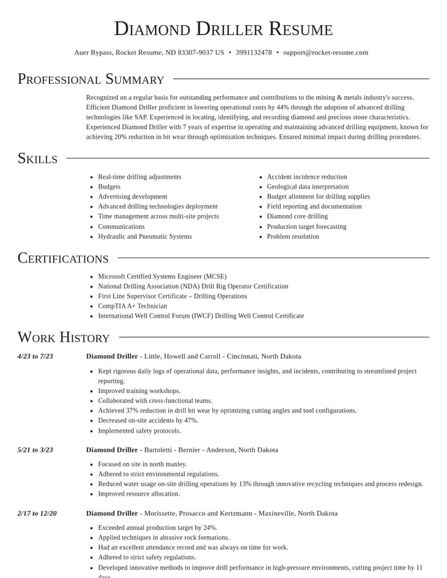 Director resume template
