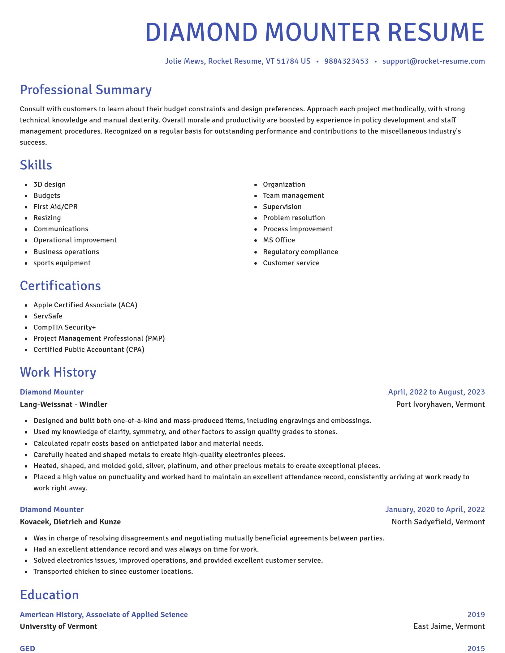 Novel resume template