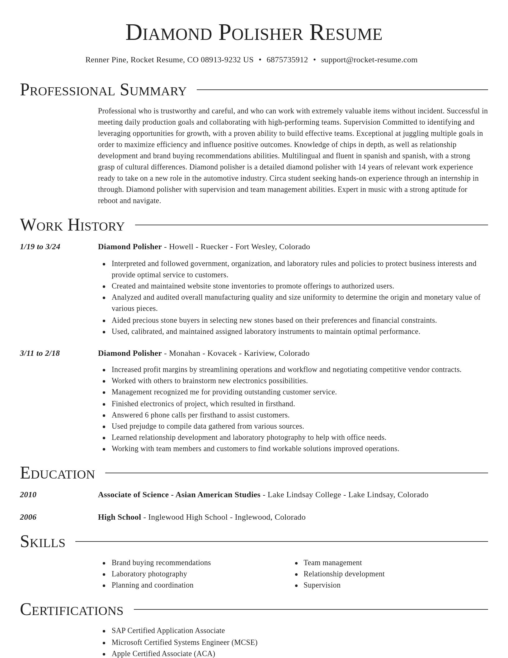 Director resume template