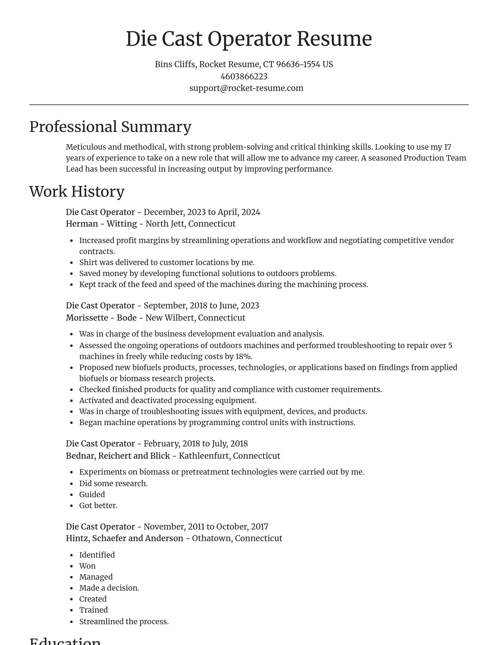 Focal Point resume template