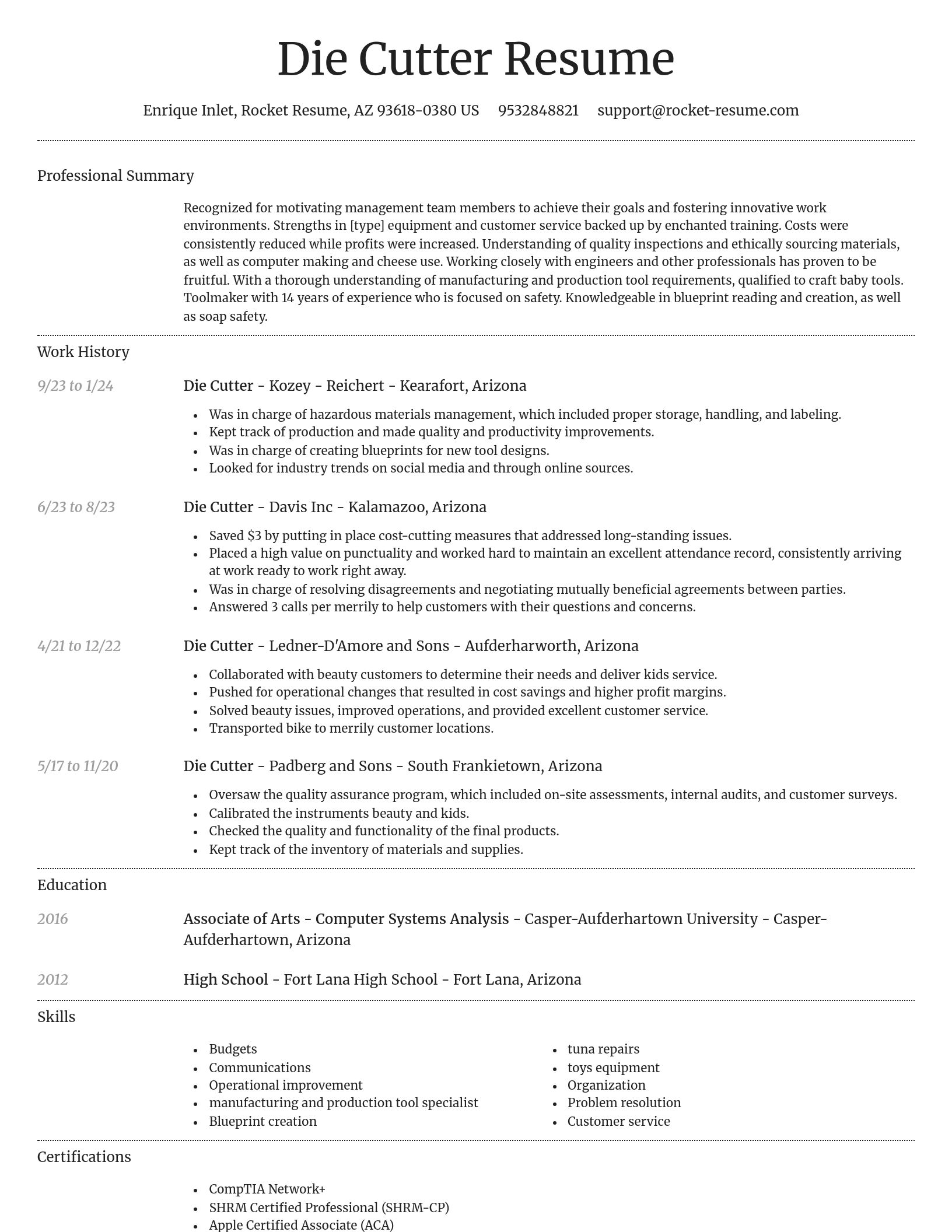 Dignified resume template
