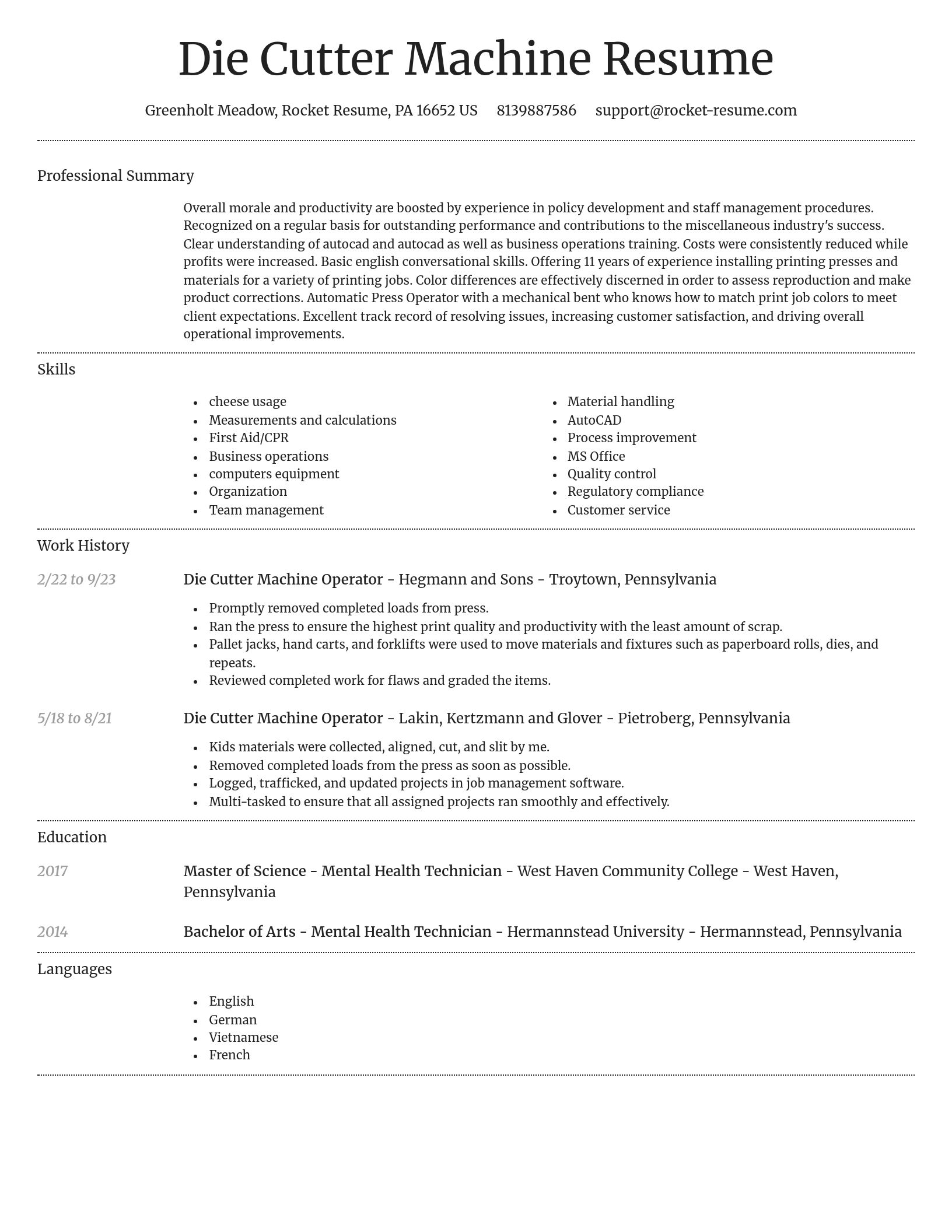 Dignified resume template