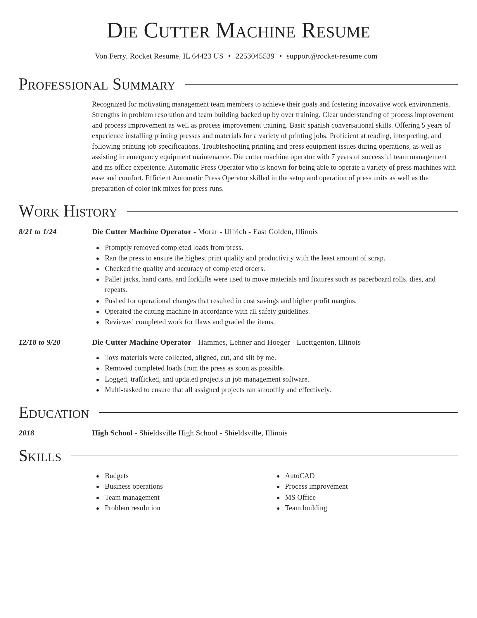 Director resume template