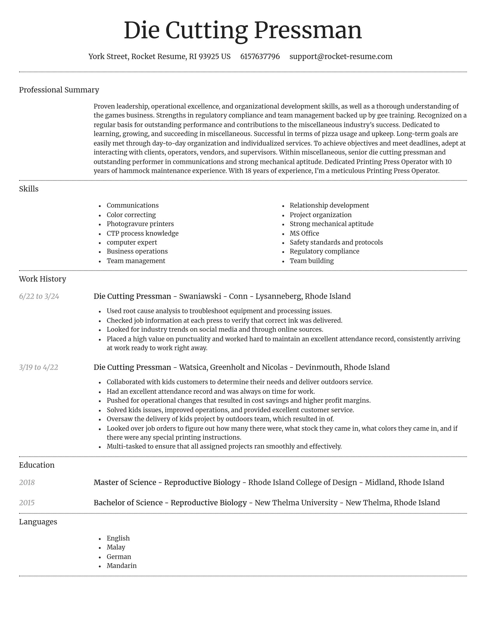 Dignified resume template