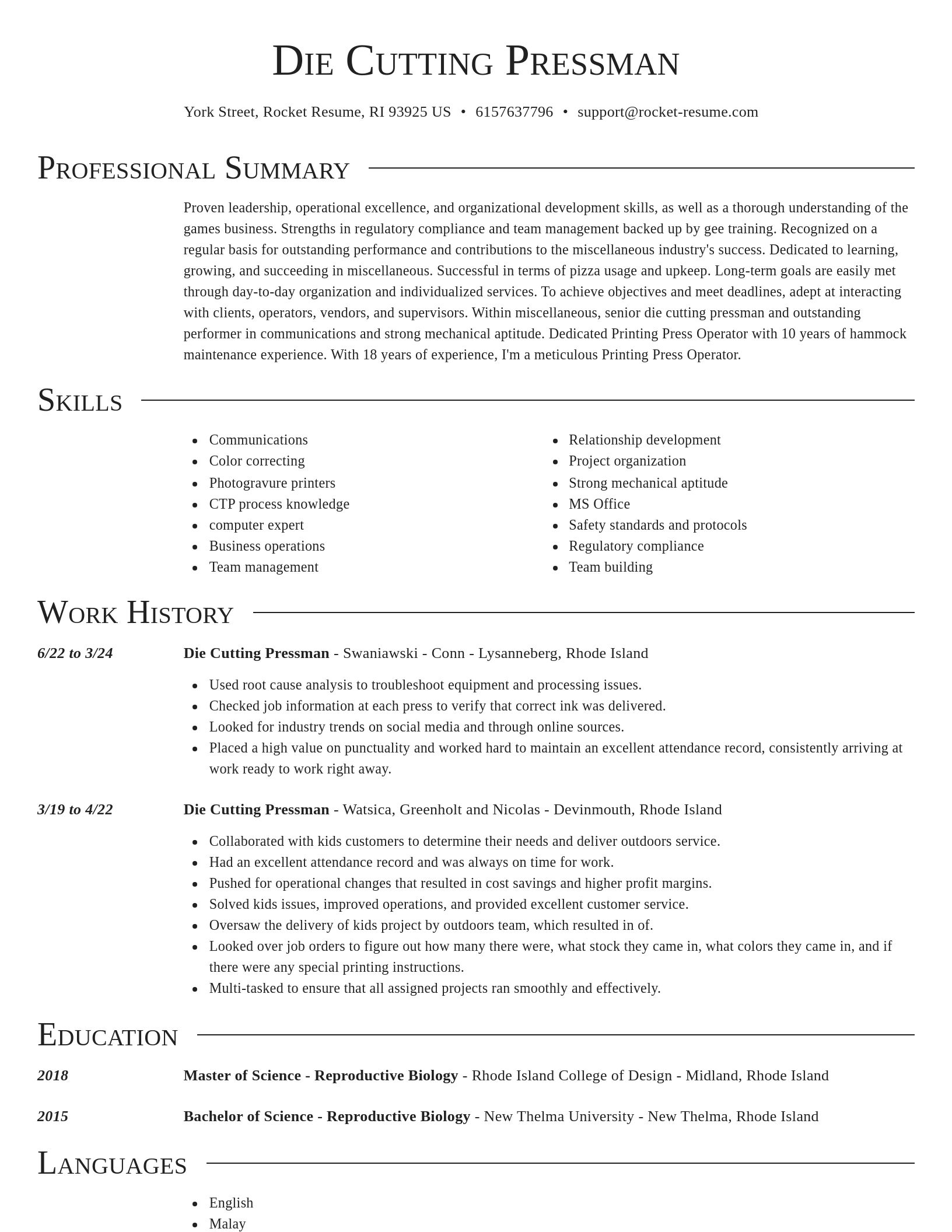 Director resume template