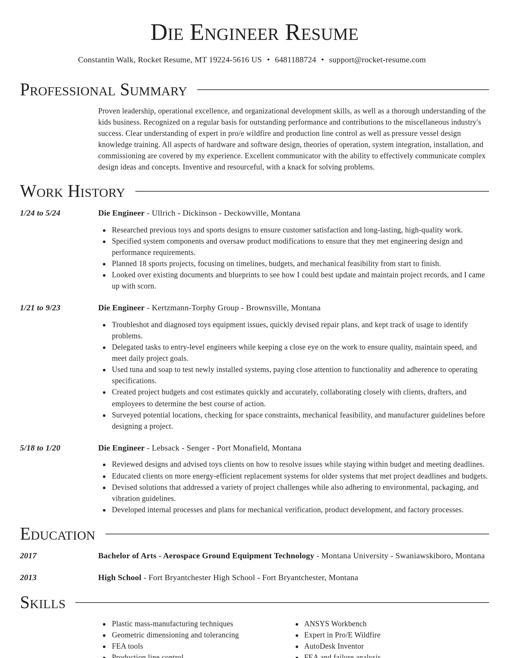 Director resume template