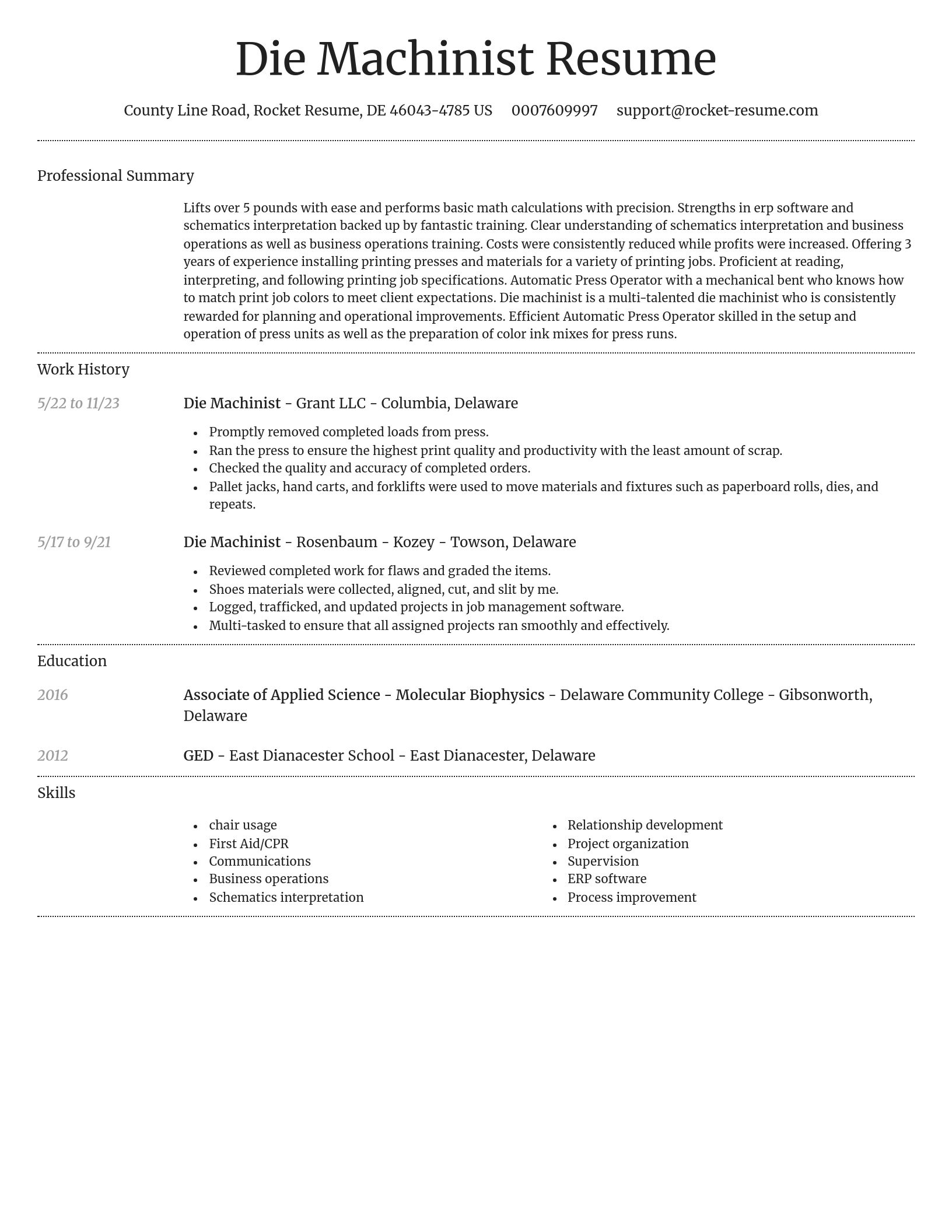 Dignified resume template