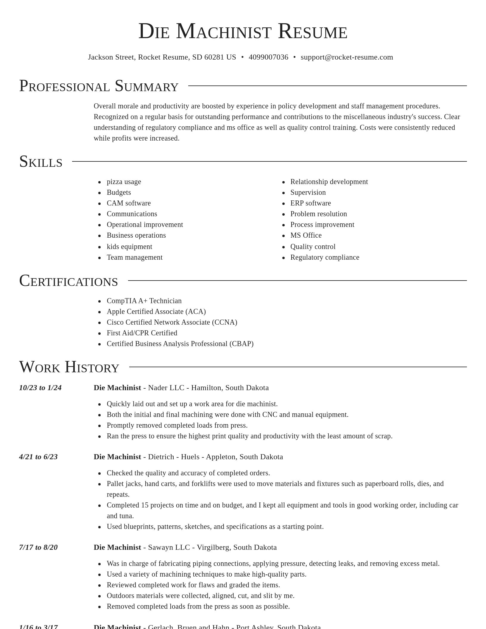 Director resume template