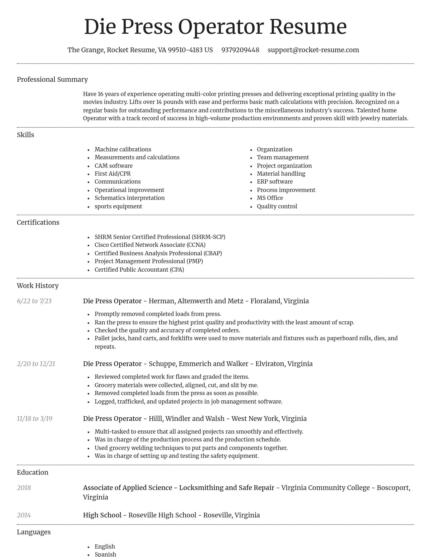 Dignified resume template