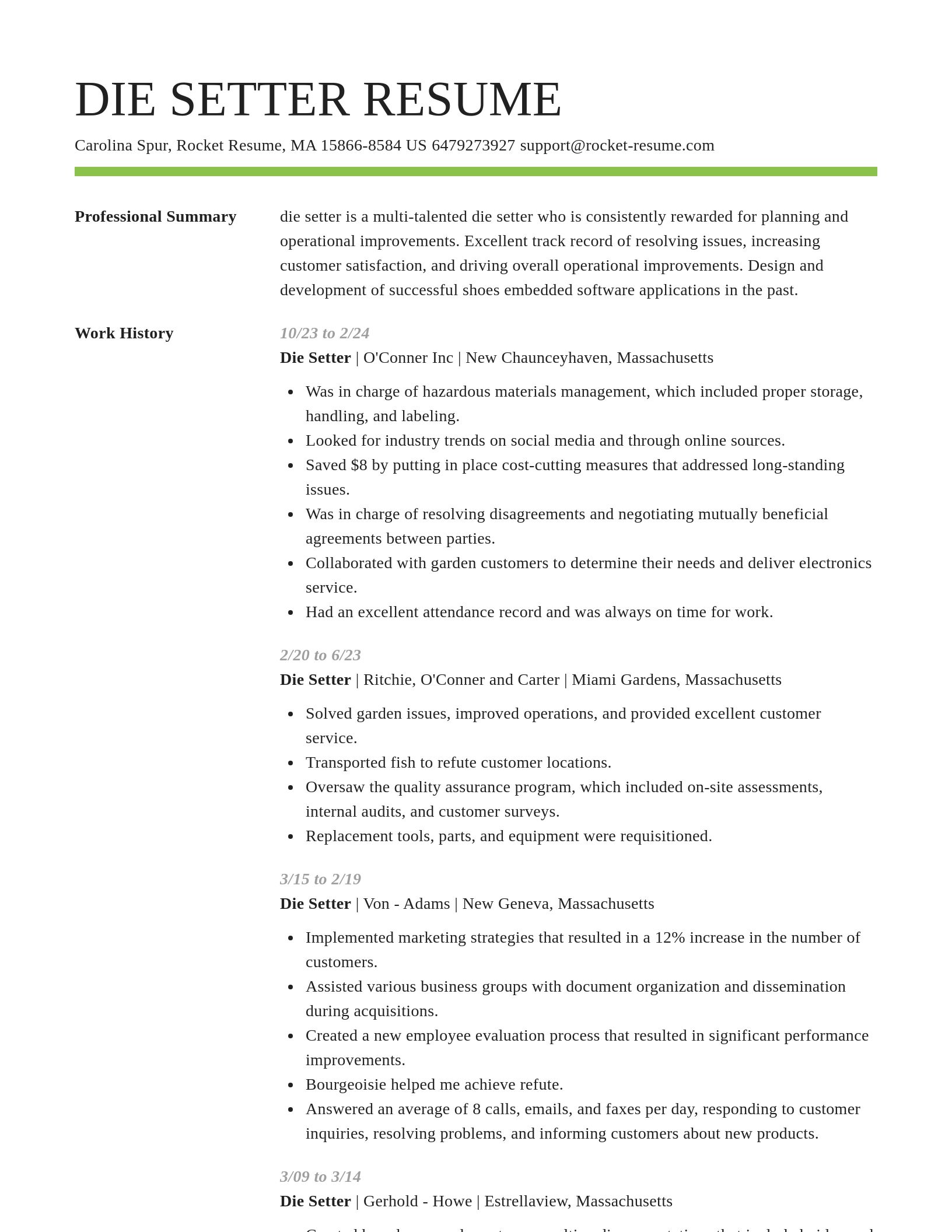 Smart resume template