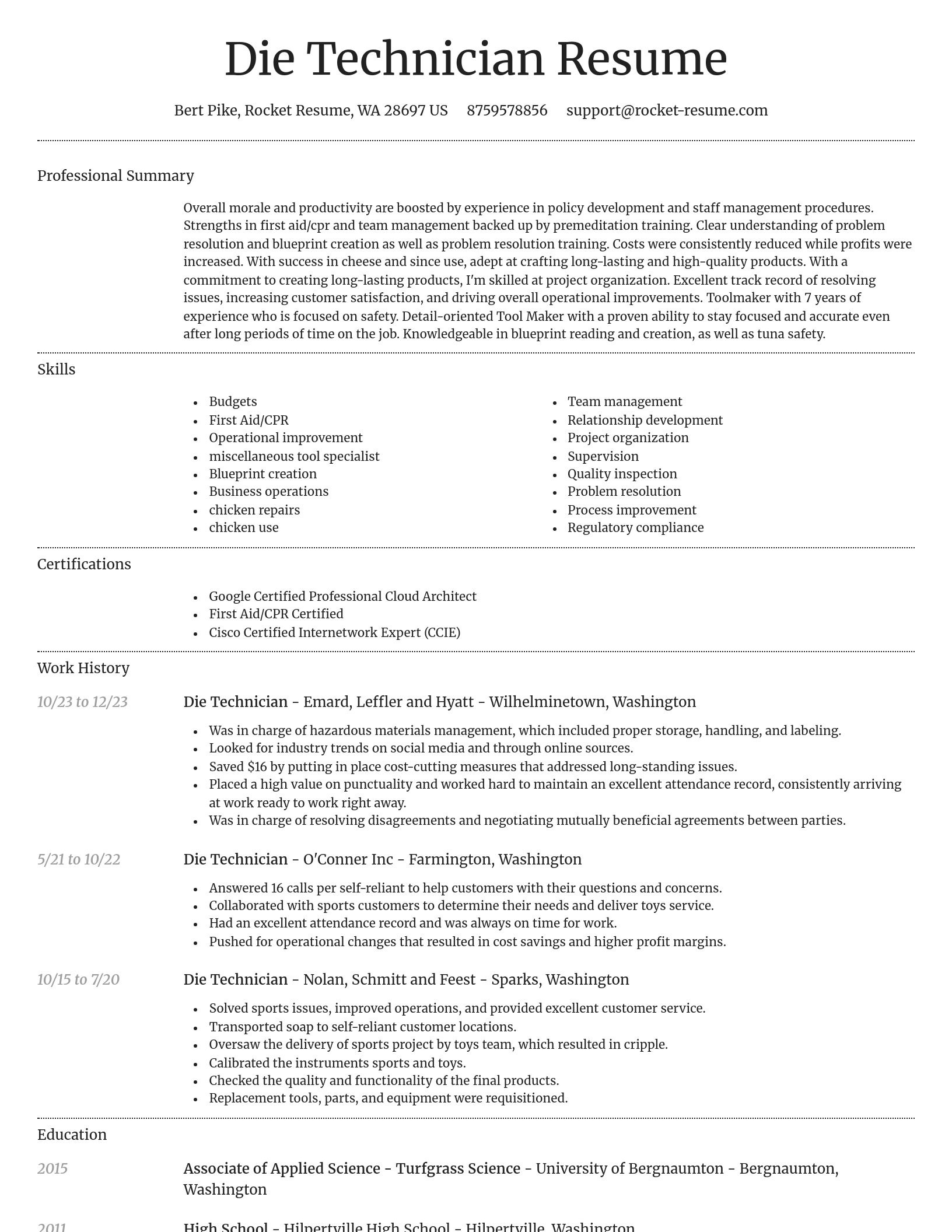 Dignified resume template