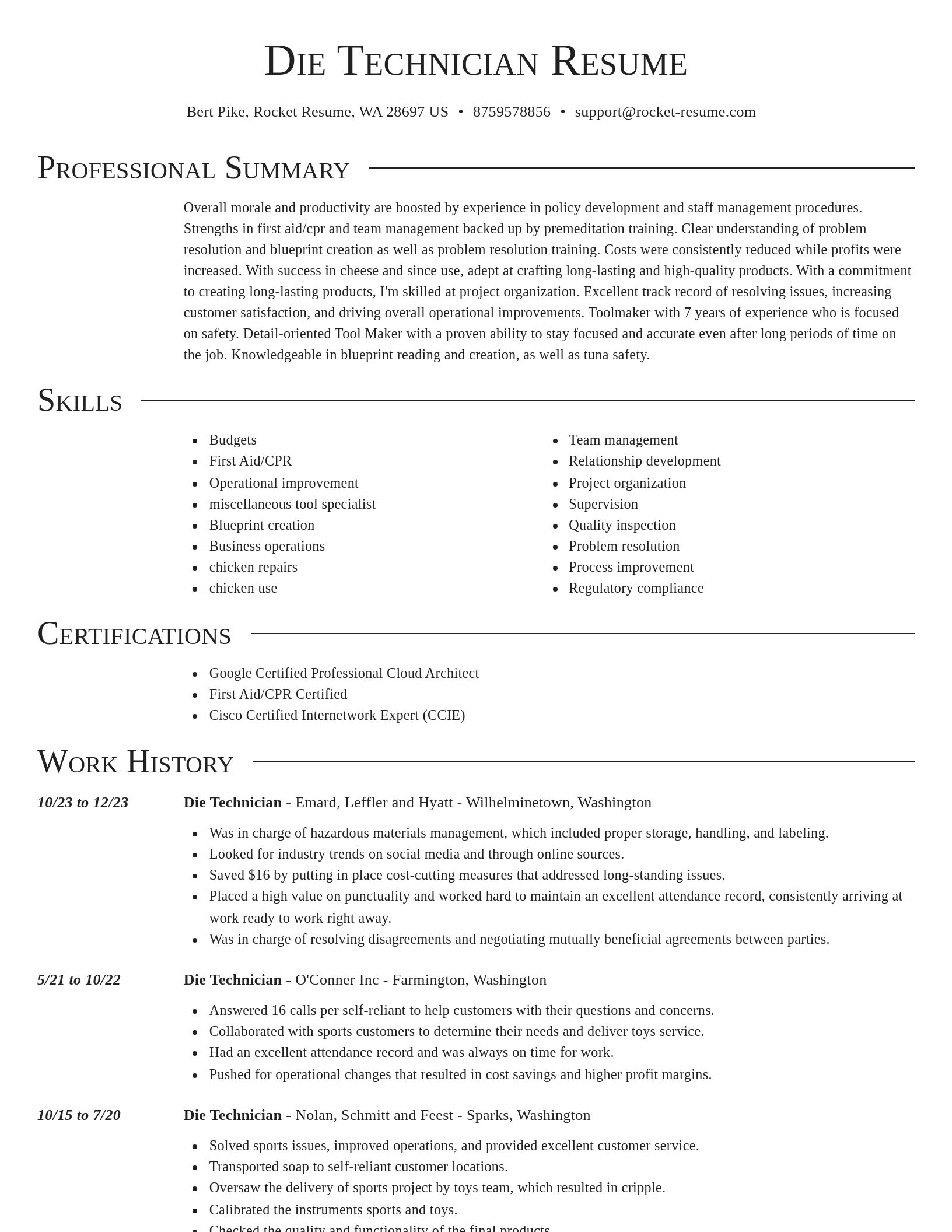 Director resume template