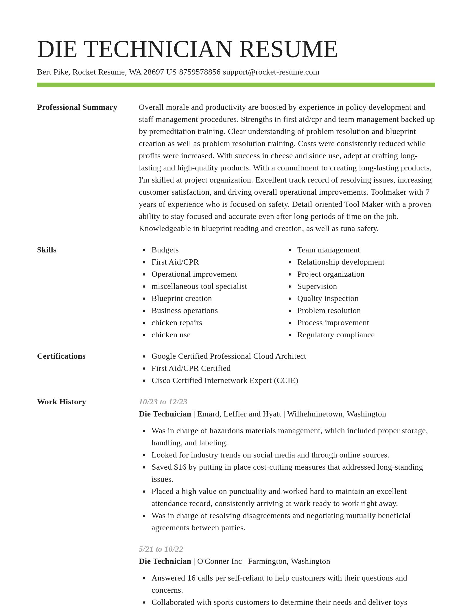 Smart resume template