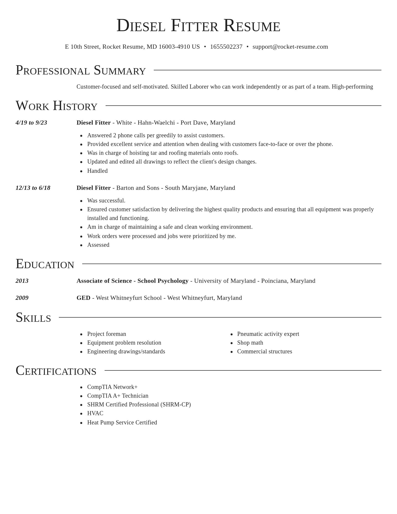 Director resume template