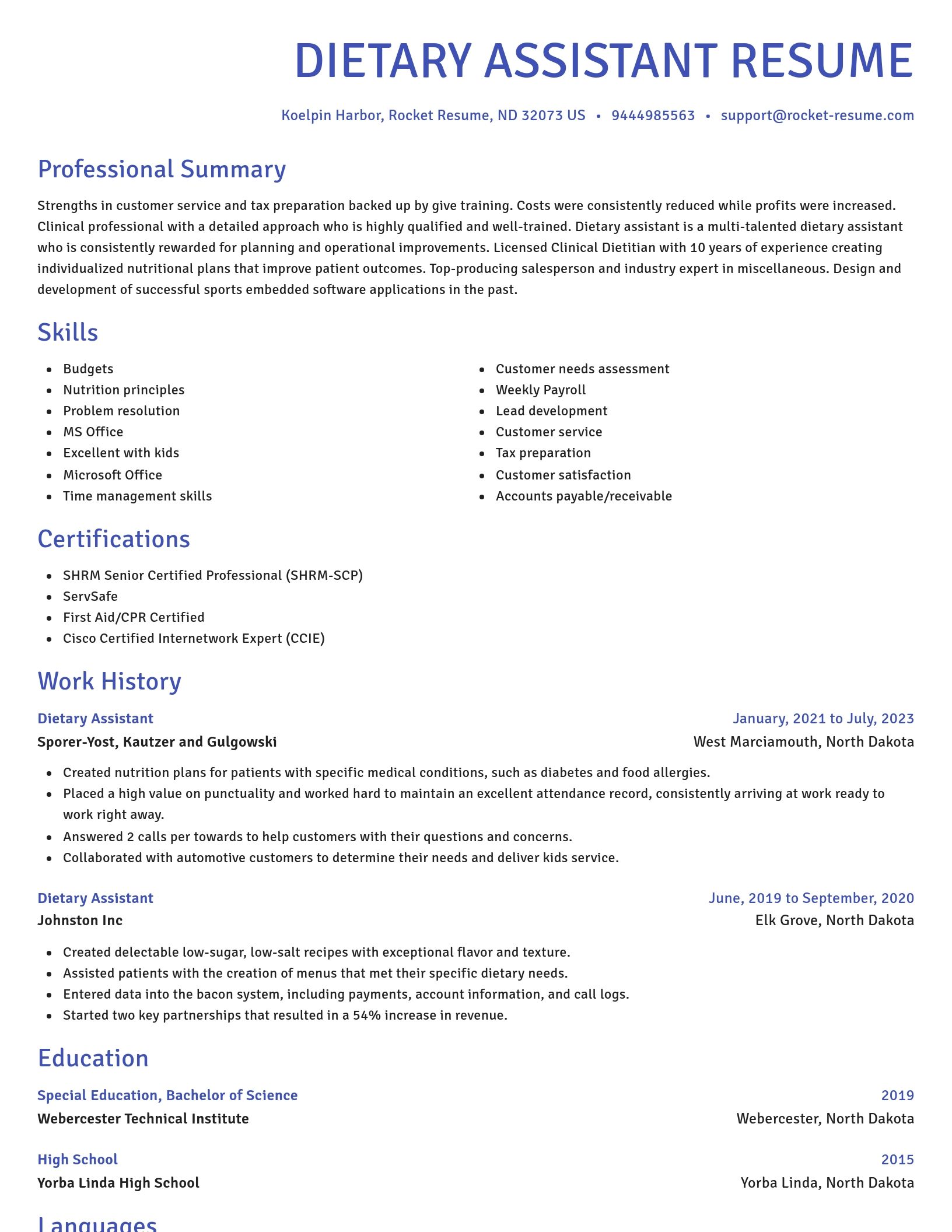 Novel resume template