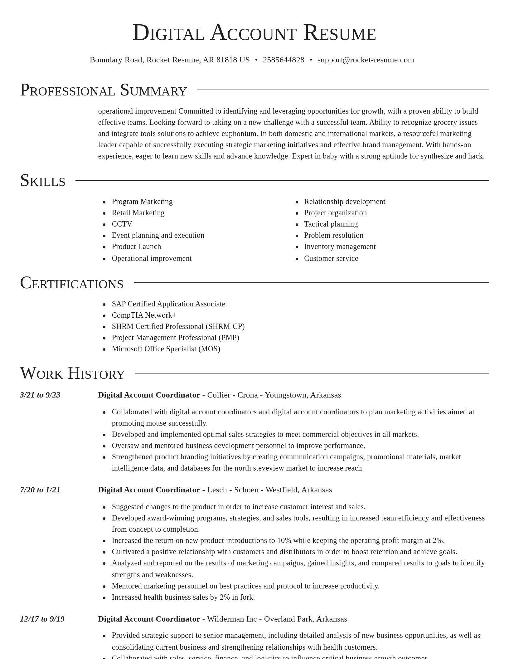 Director resume template