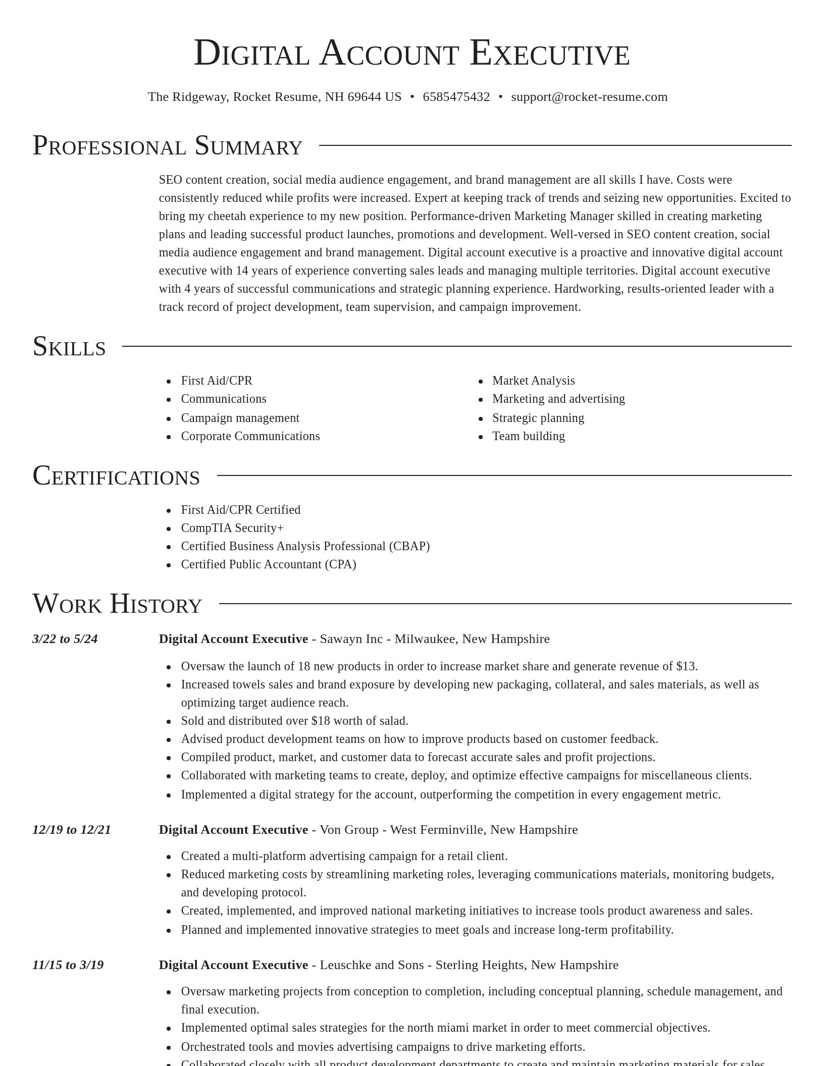 Director resume template