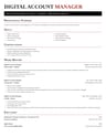 Digital Account Manager resume template