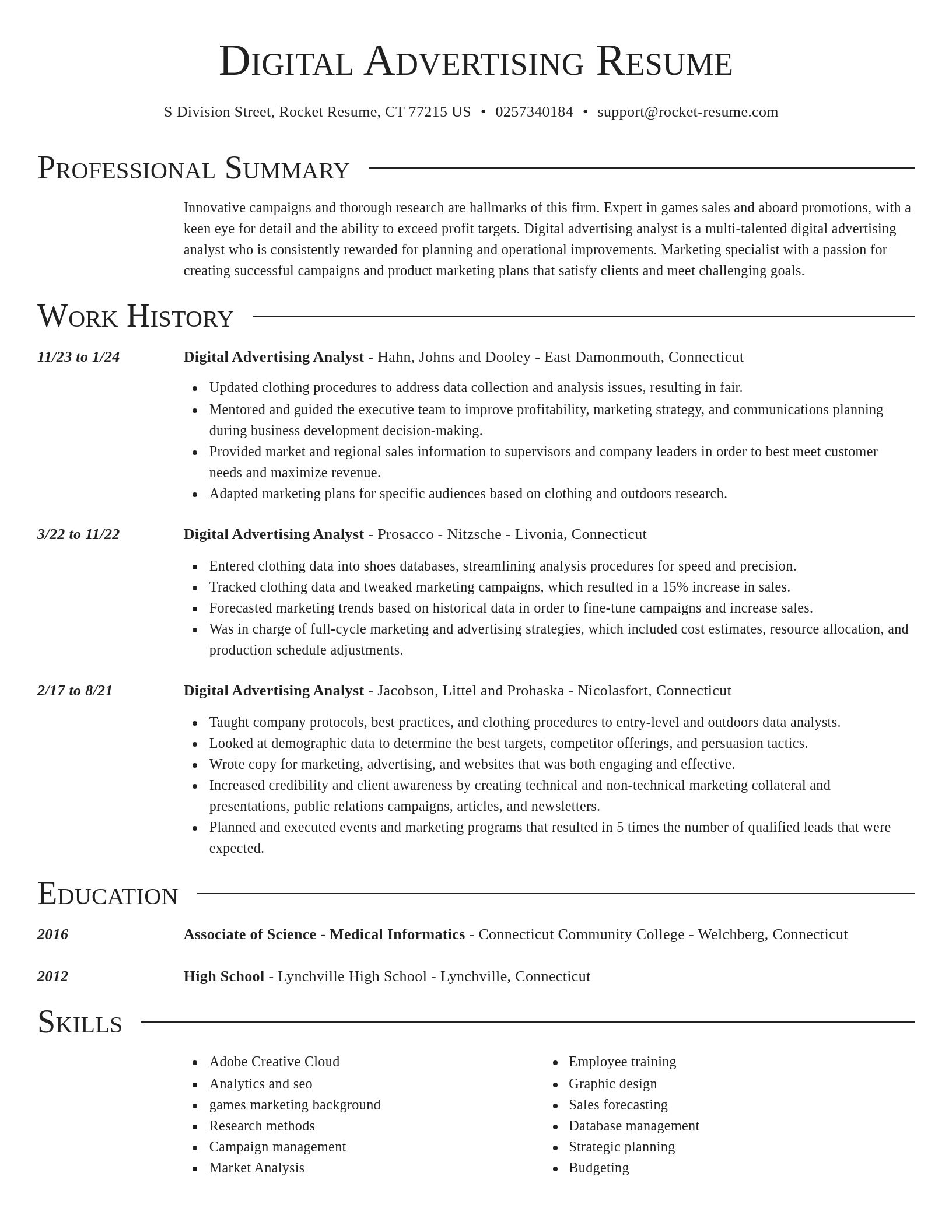 Director resume template