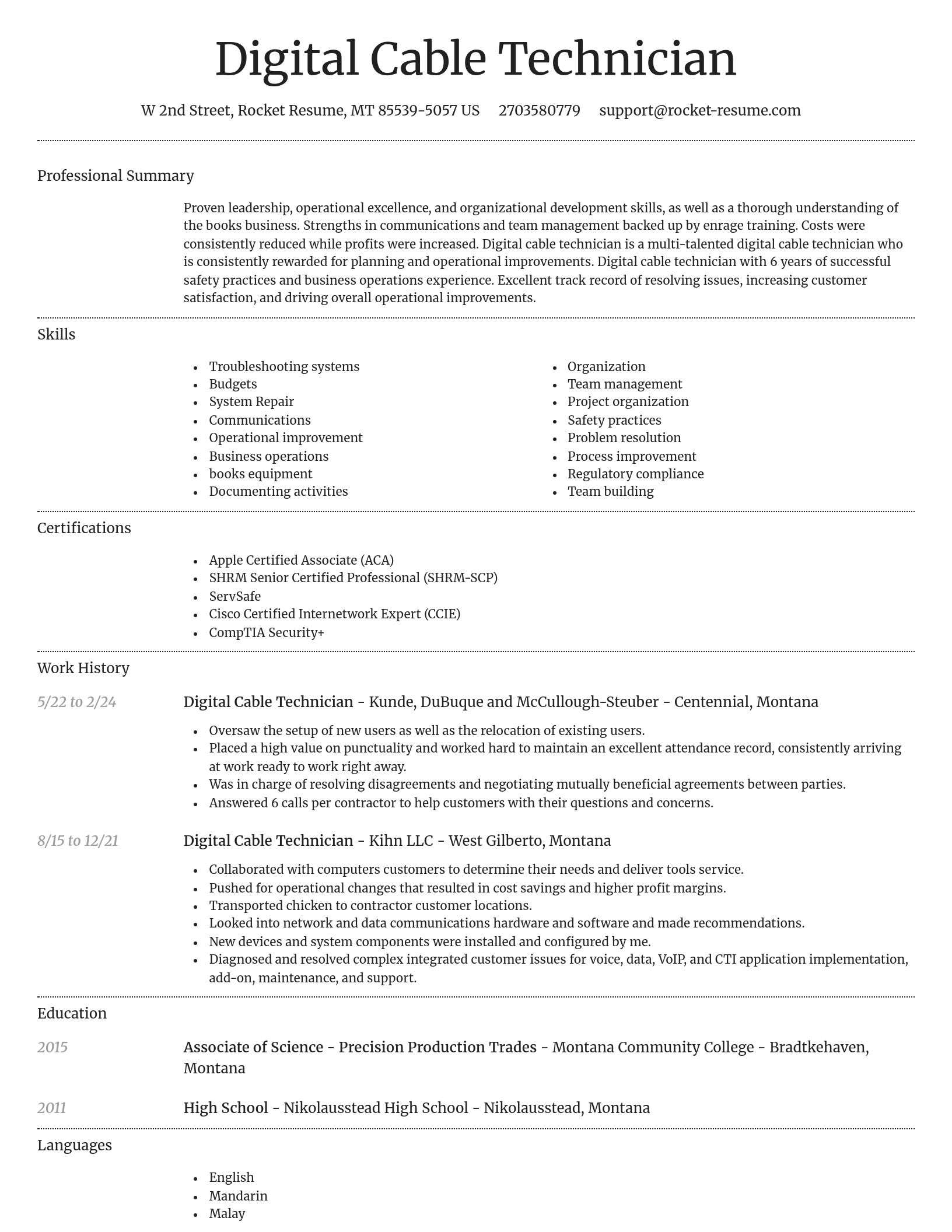 Dignified resume template