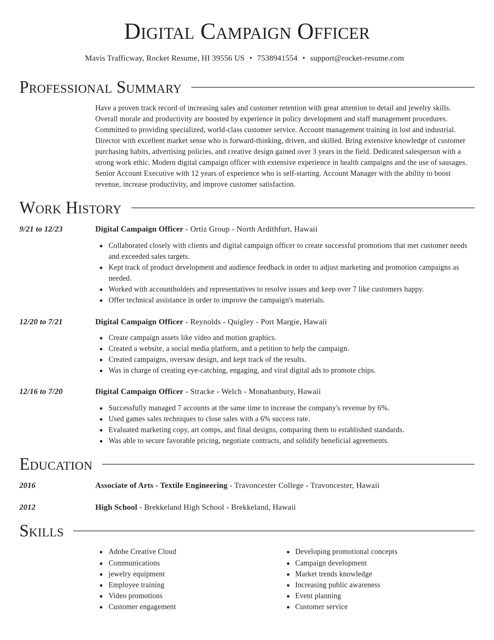Director resume template