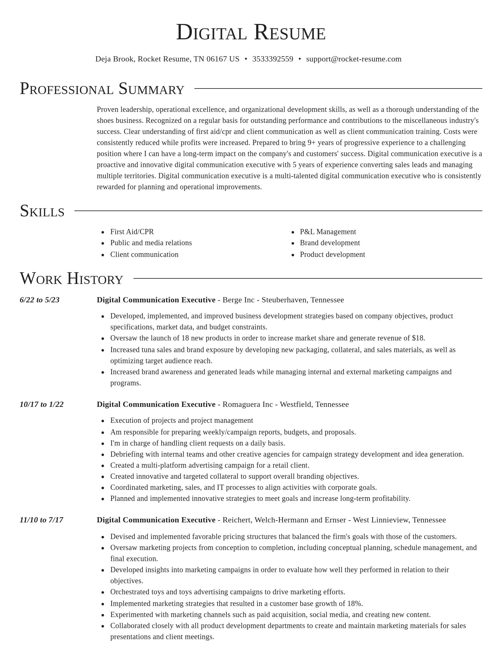 Director resume template