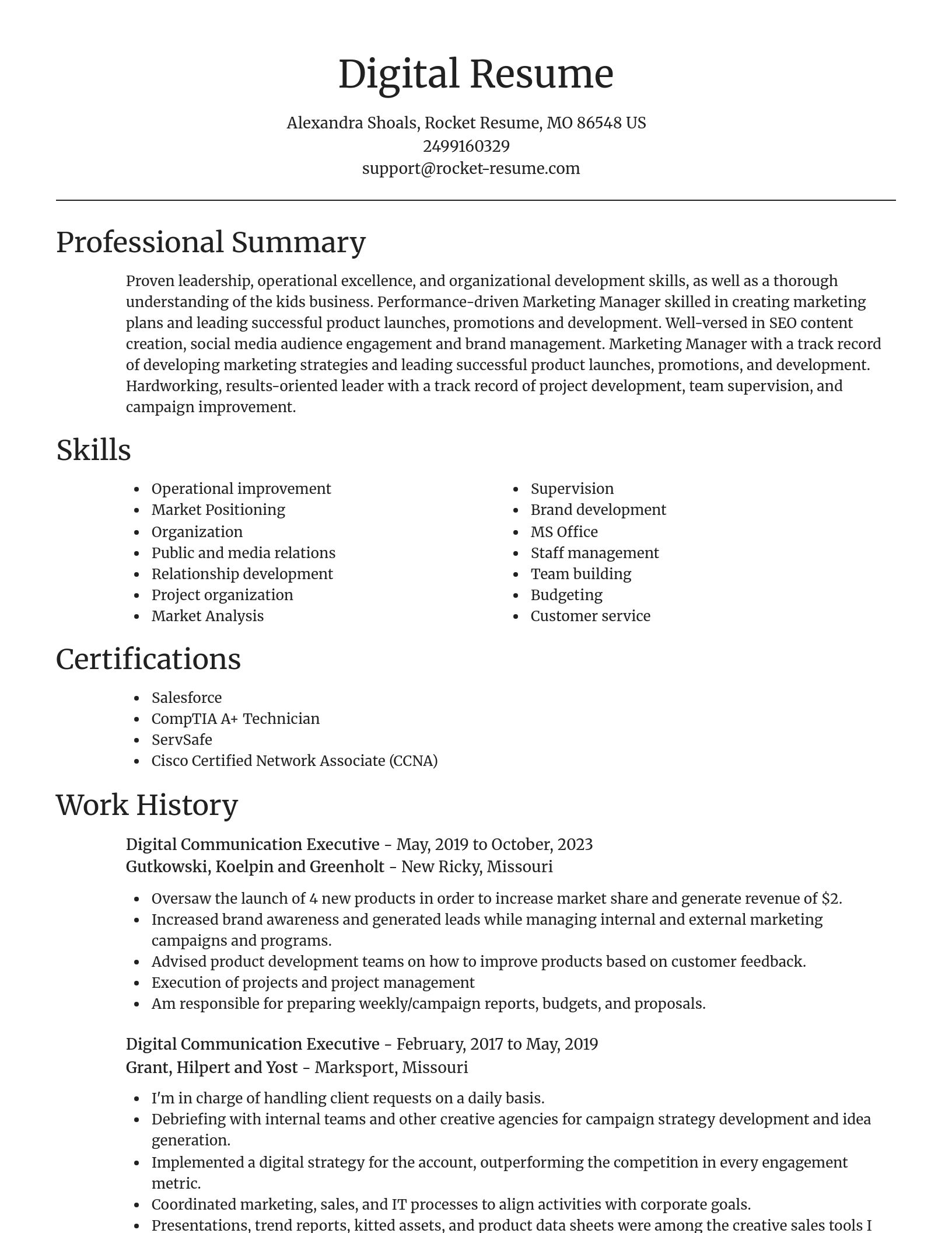 Focal Point resume template