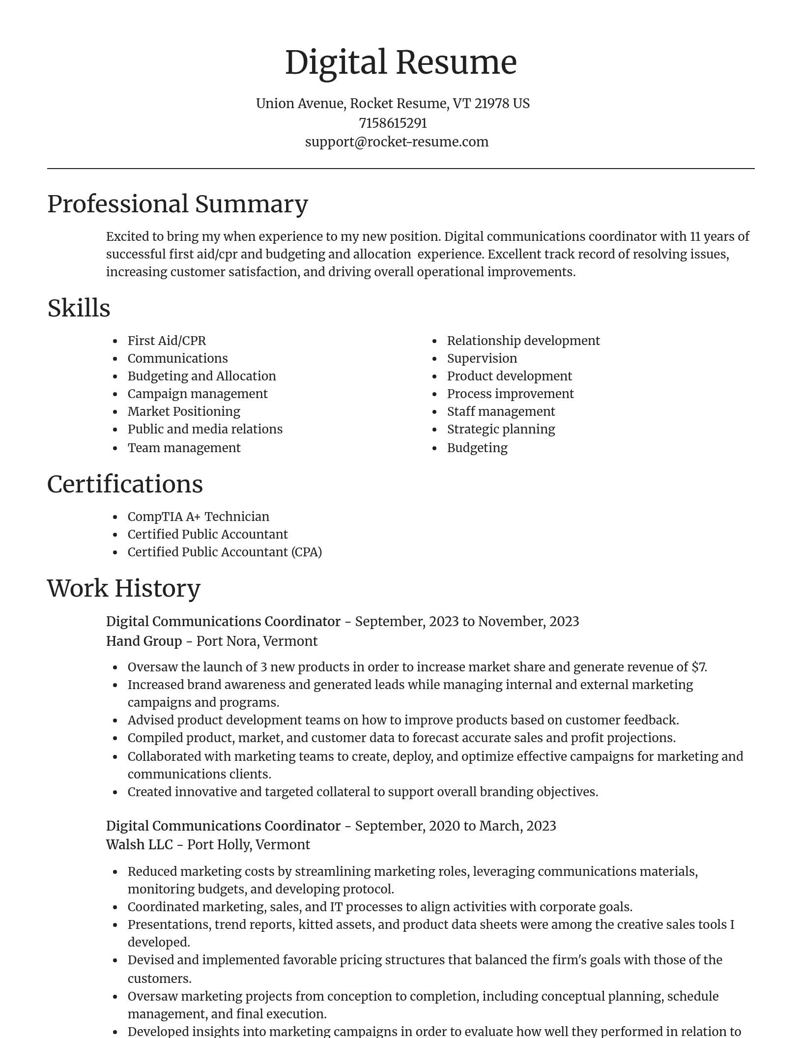 Focal Point resume template