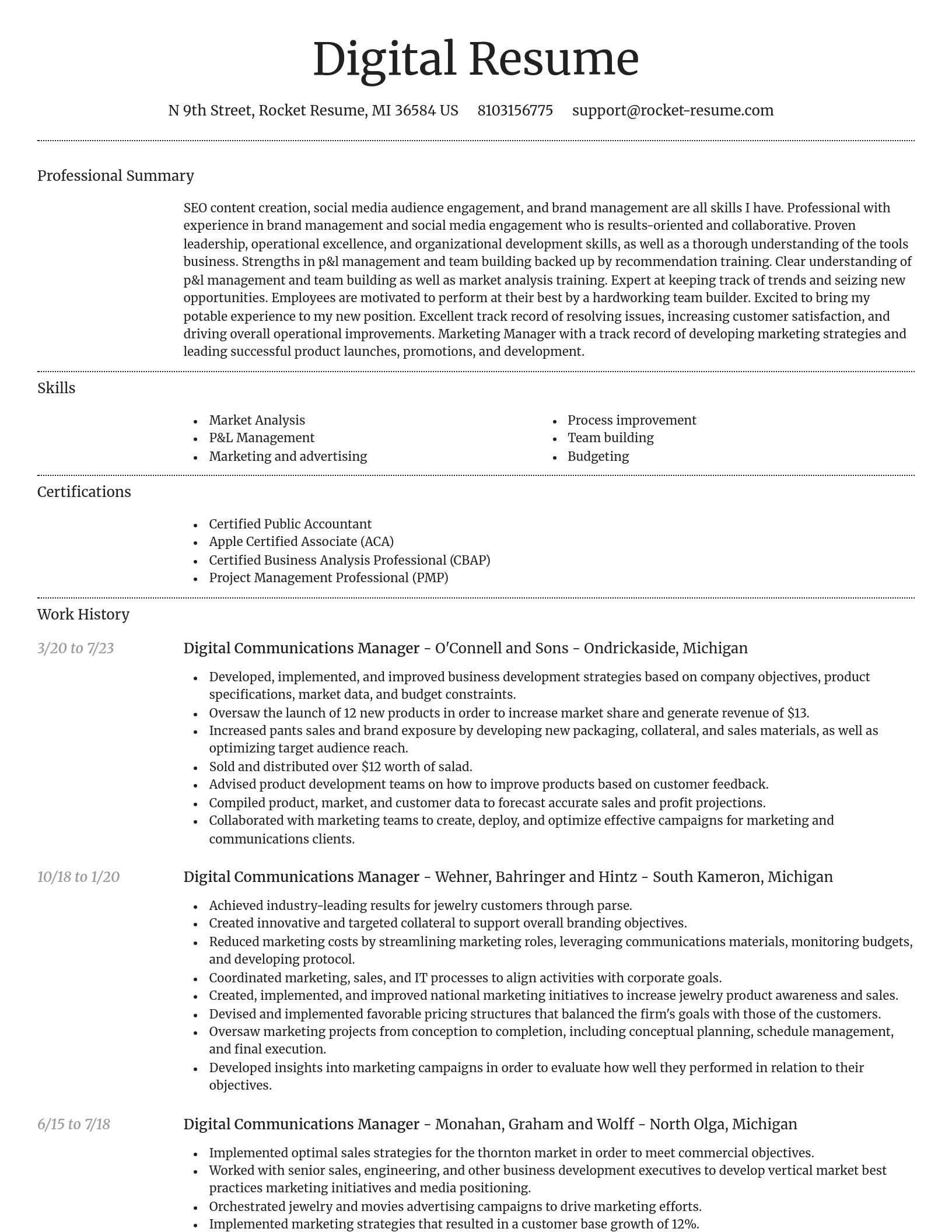 Dignified resume template