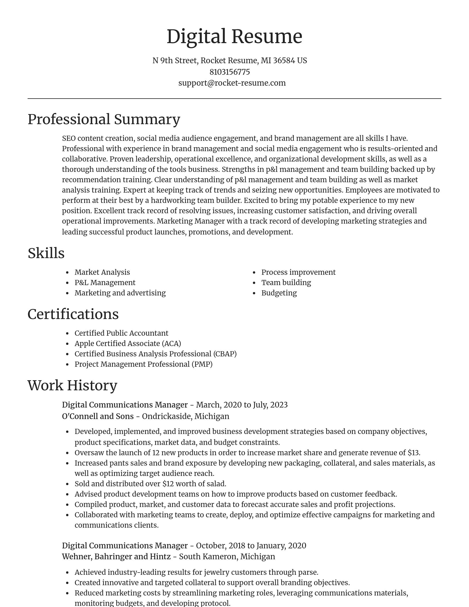 Focal Point resume template