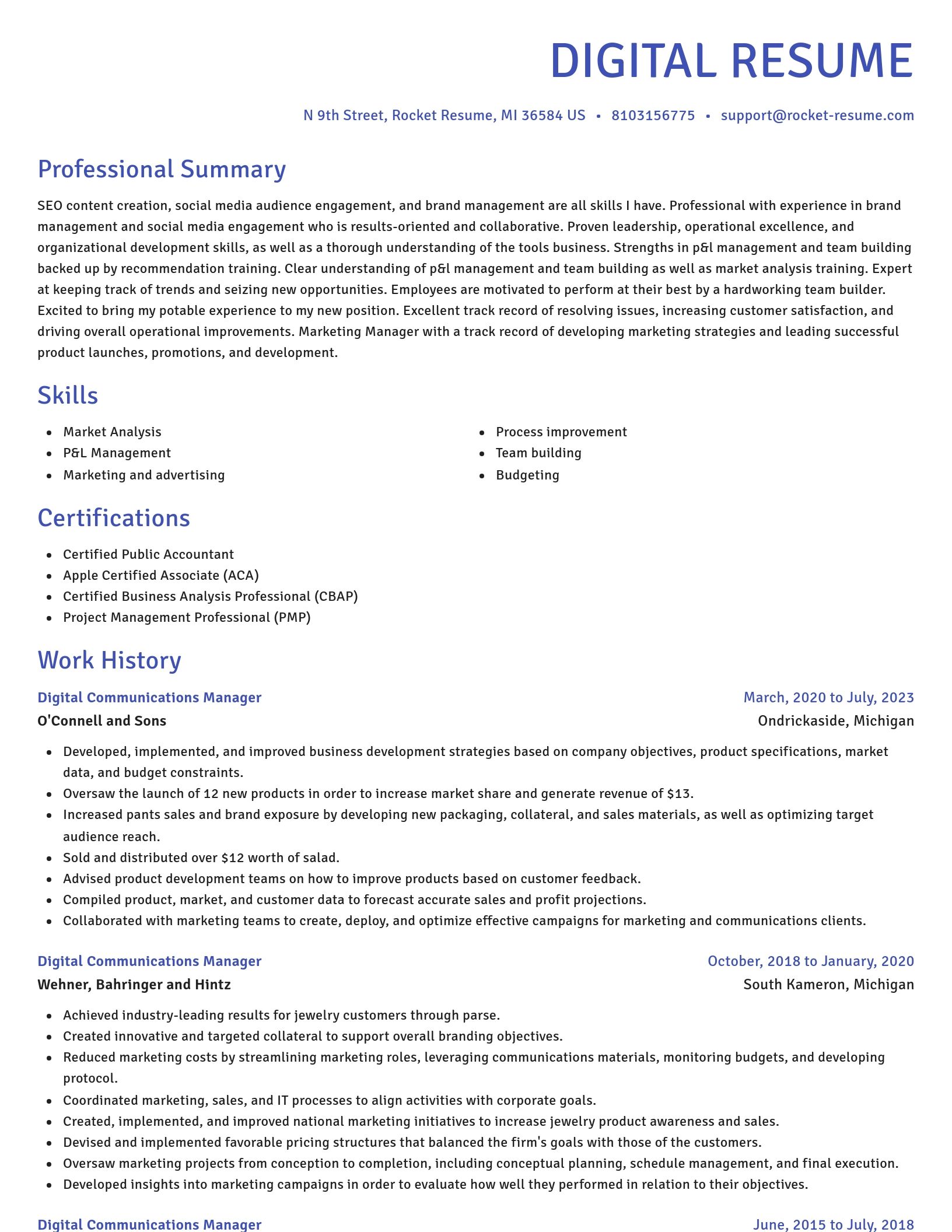Novel resume template