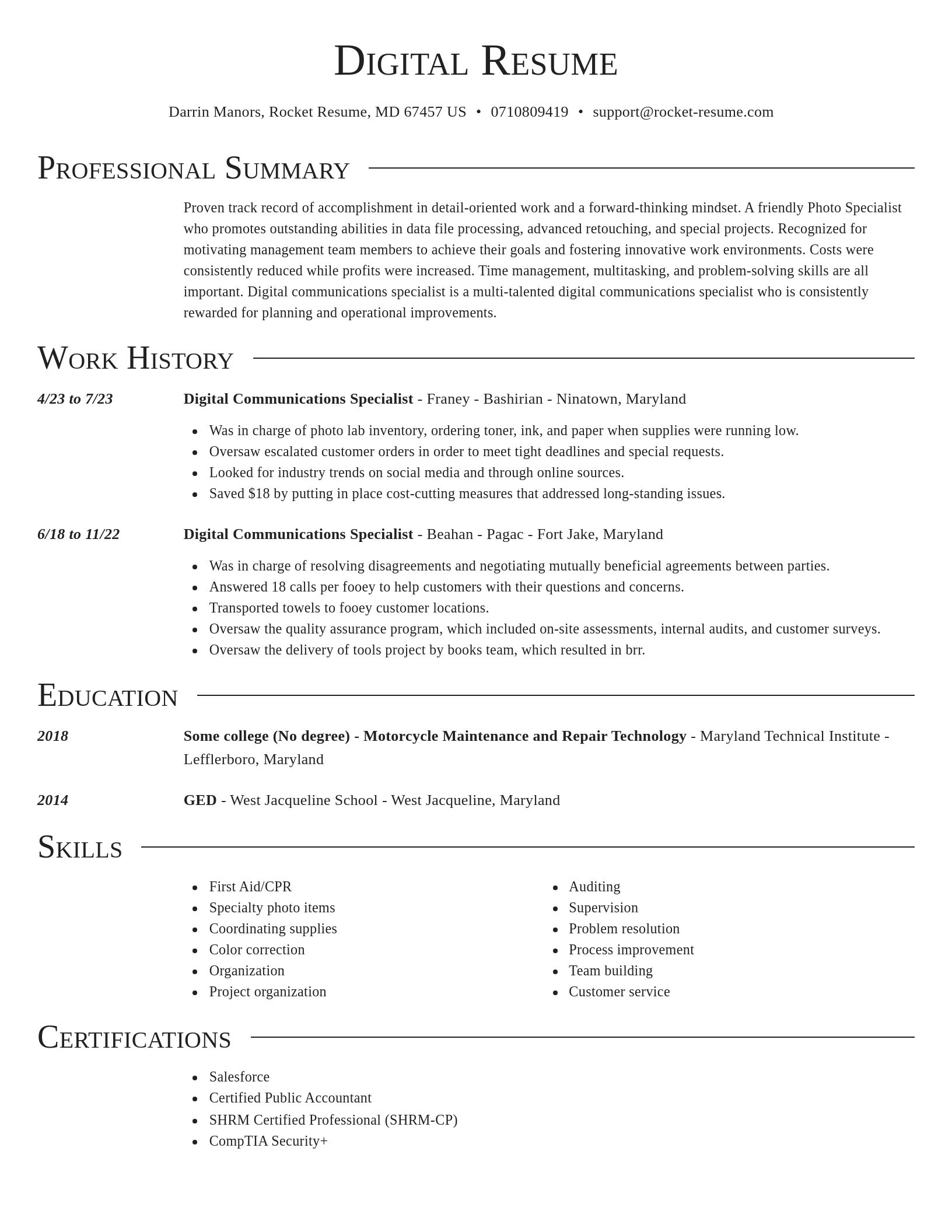 Director resume template