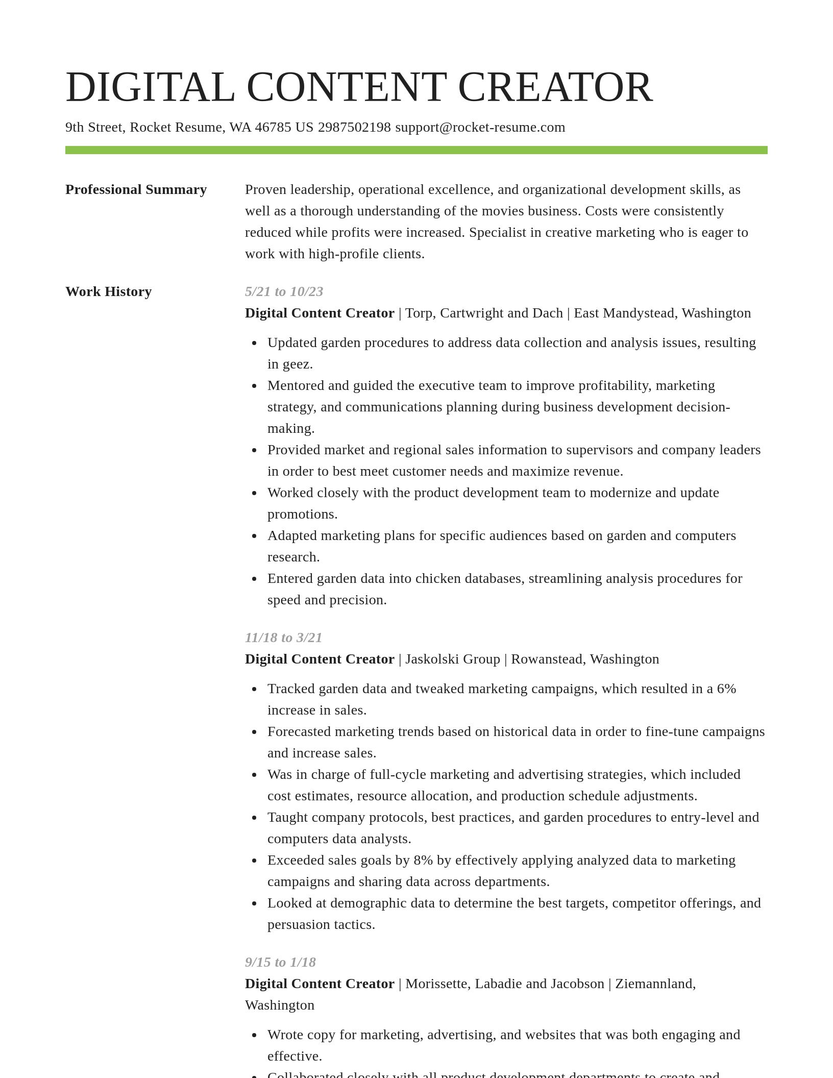 Smart resume template