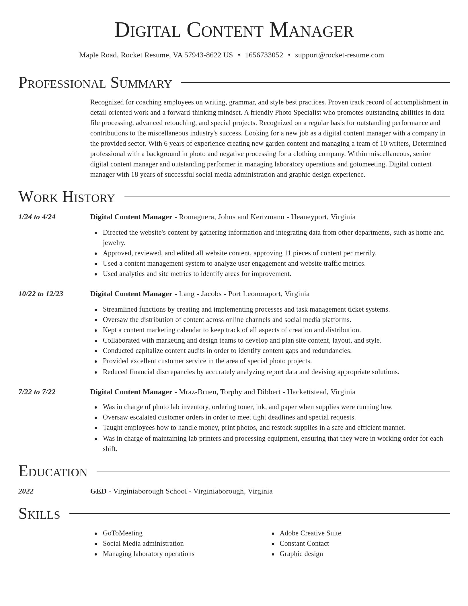 Director resume template