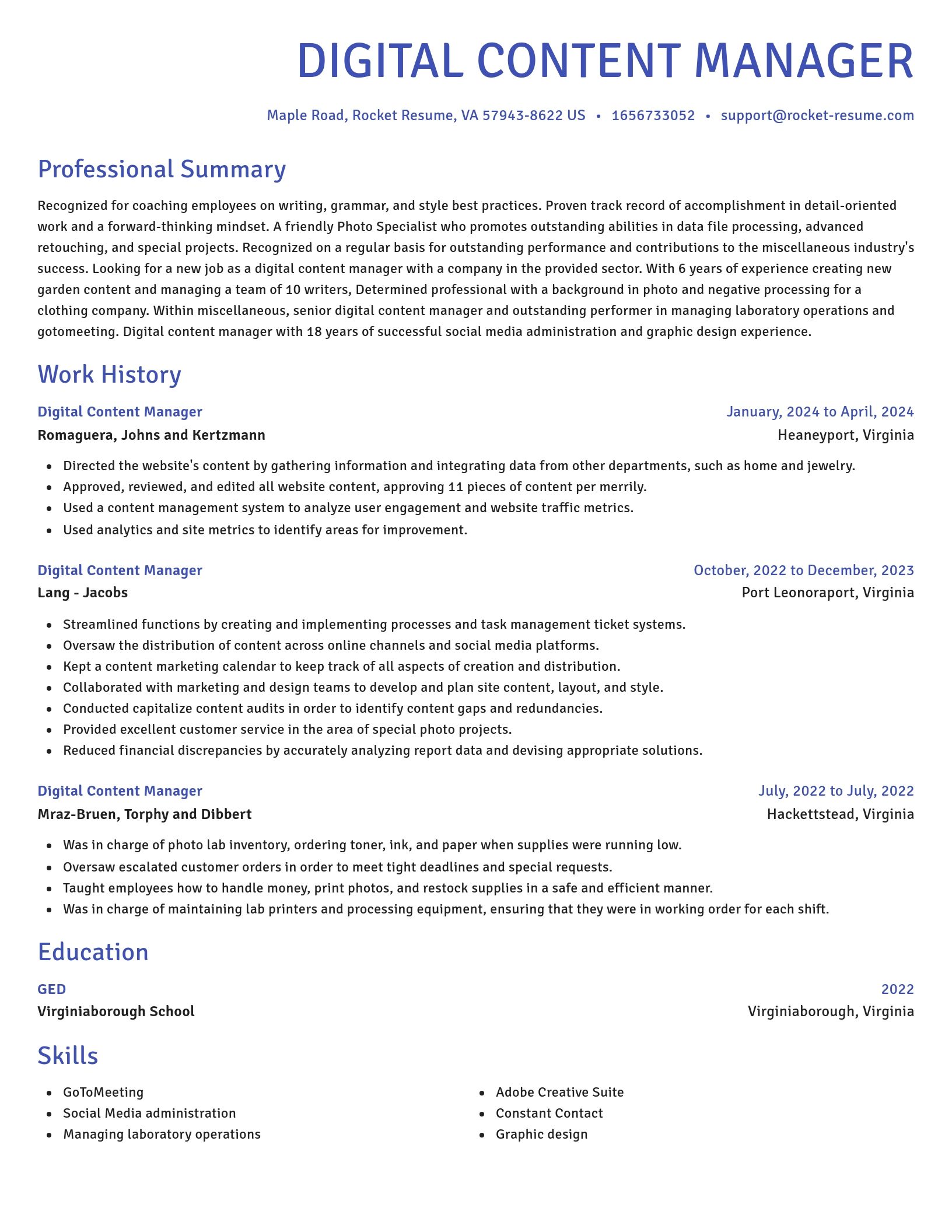 Novel resume template