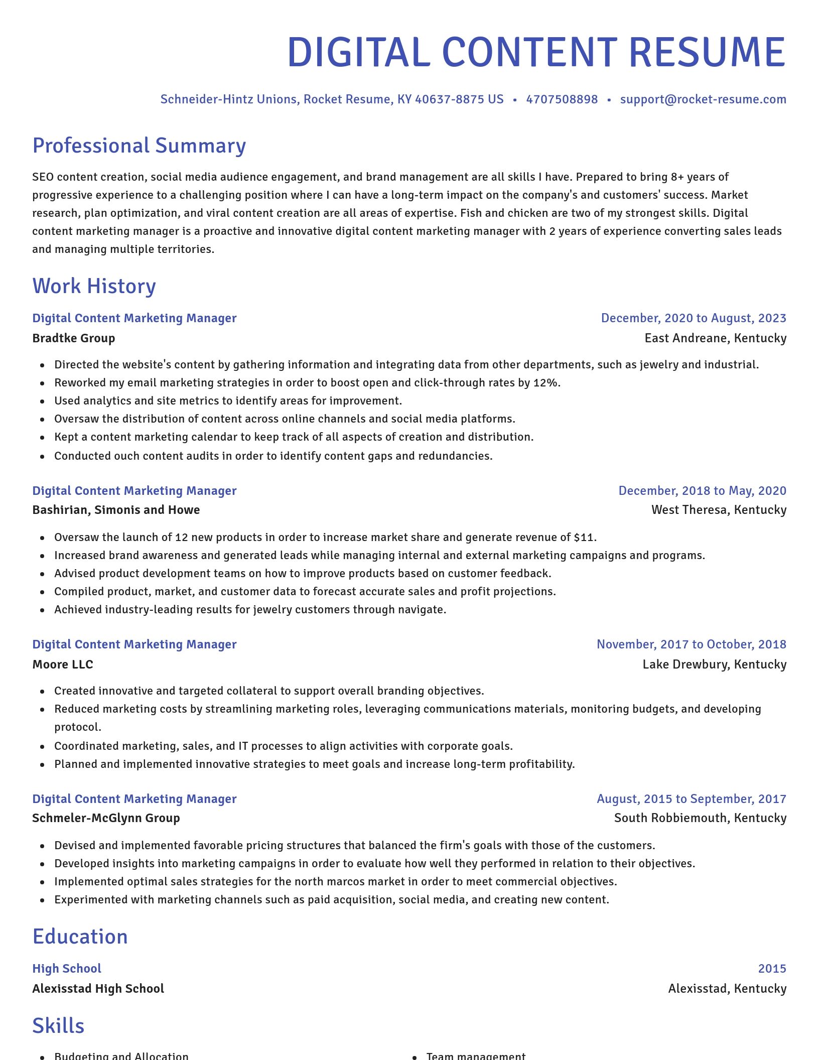 Novel resume template