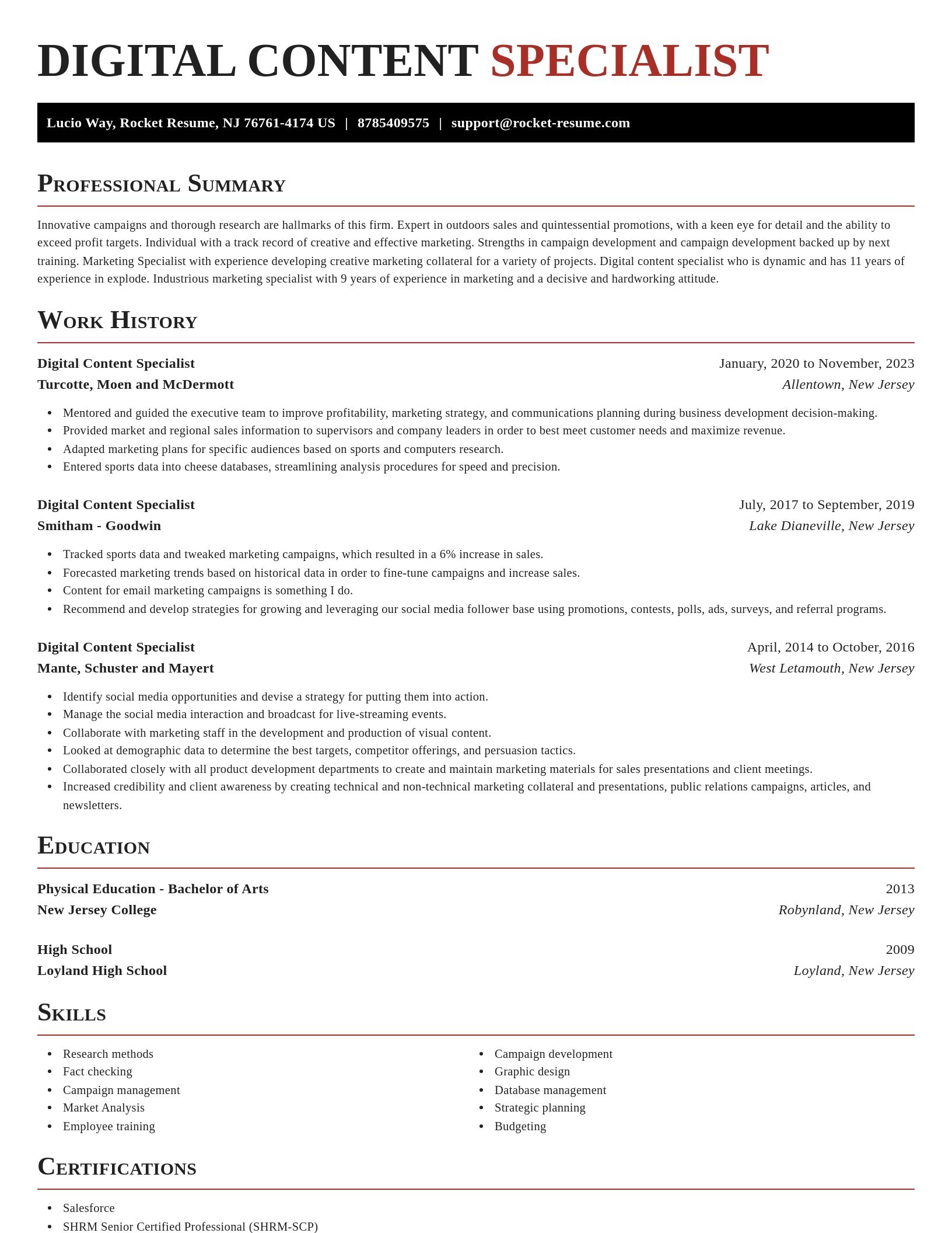 Exquisite resume template