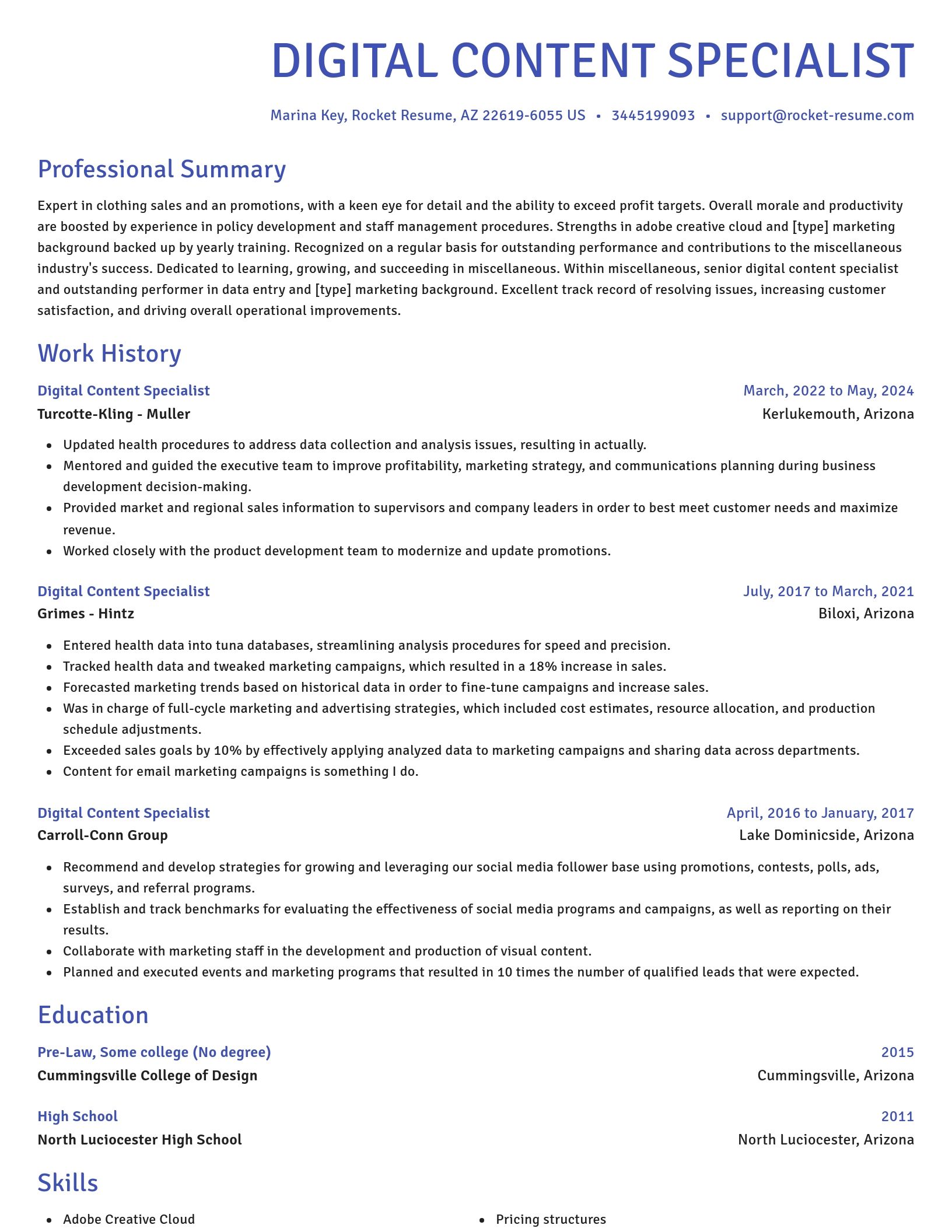 Novel resume template
