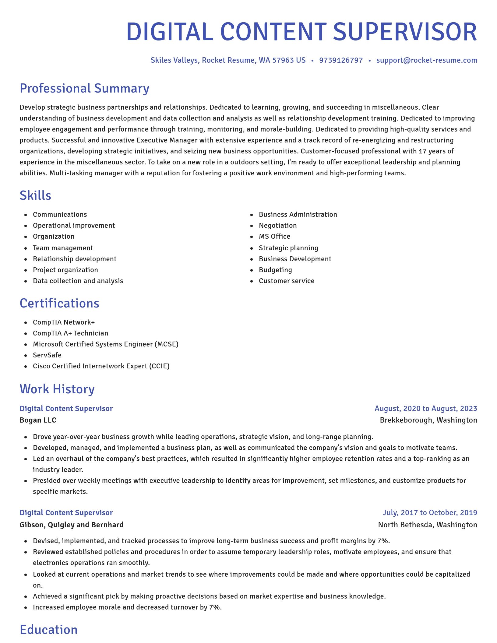 Novel resume template