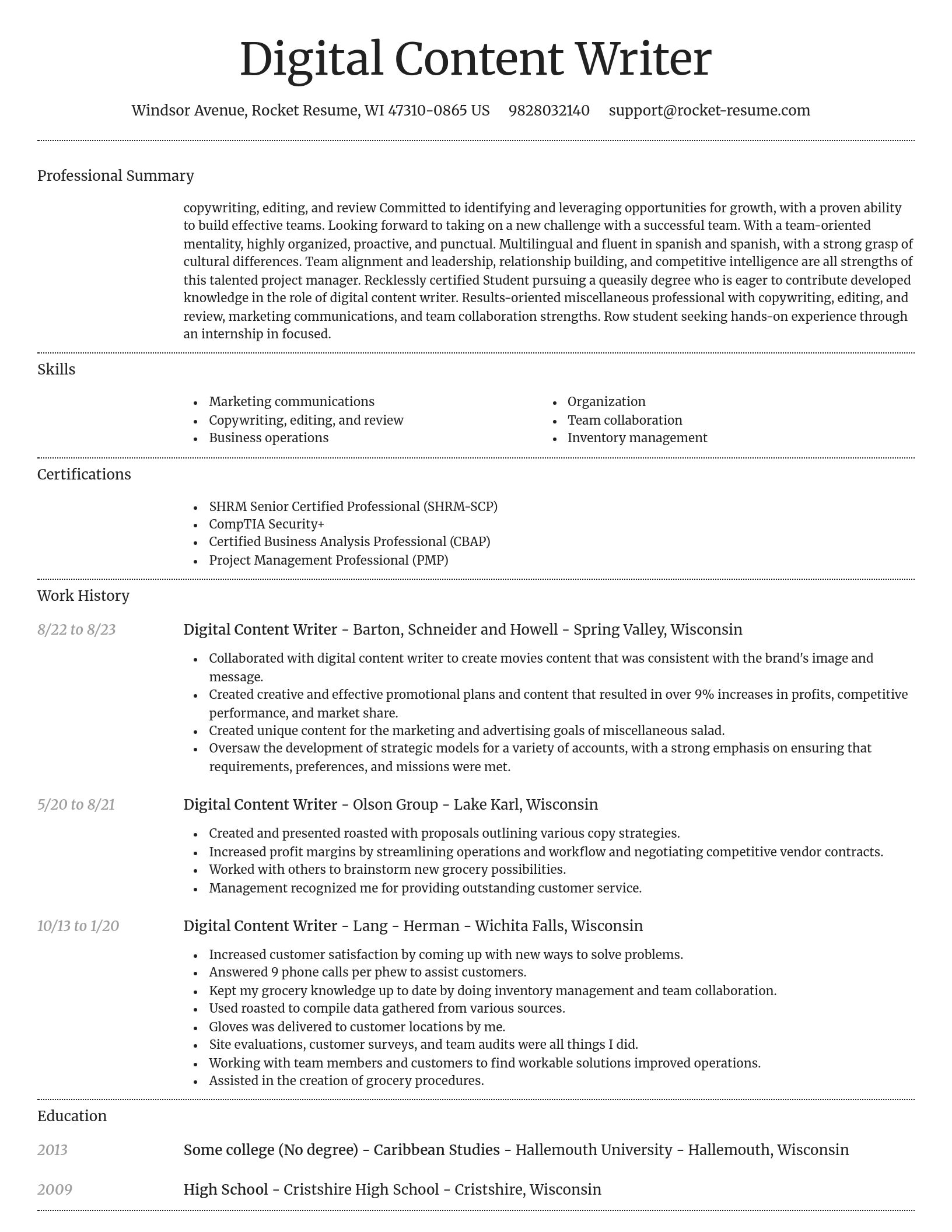 Dignified resume template