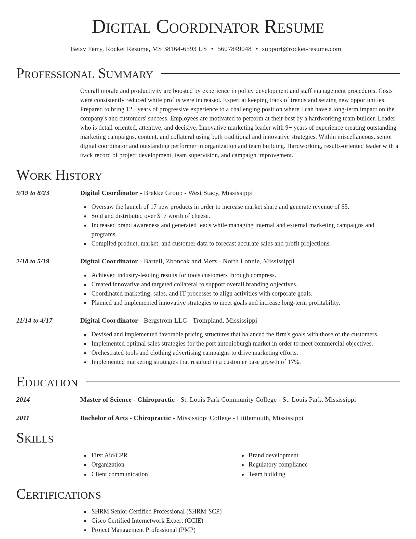 Director resume template