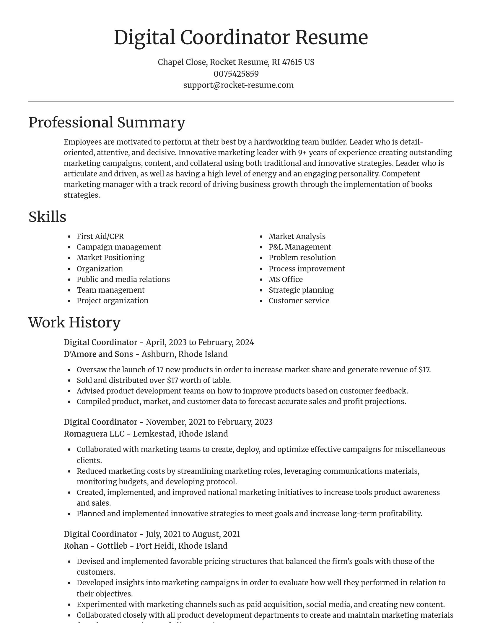 Focal Point resume template