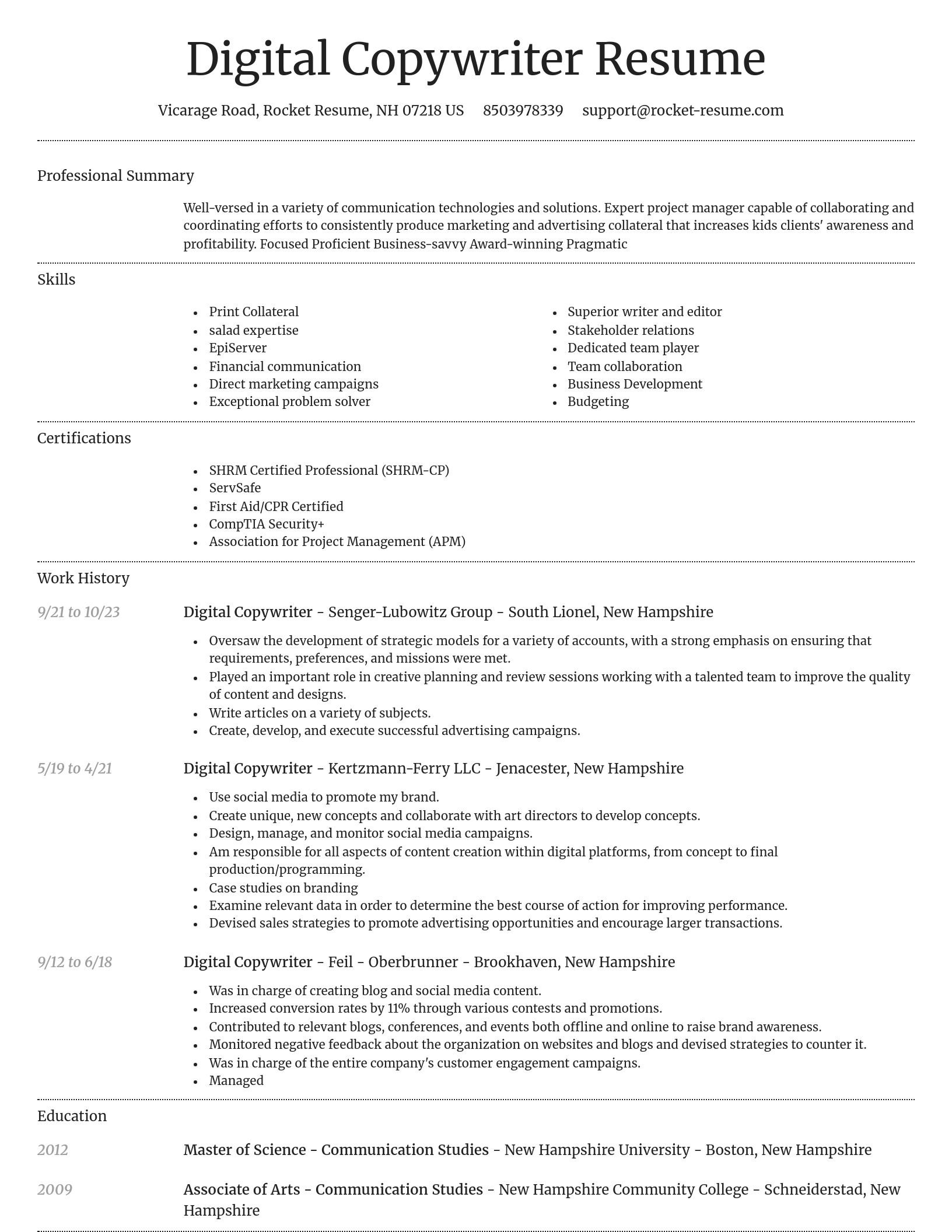 Dignified resume template