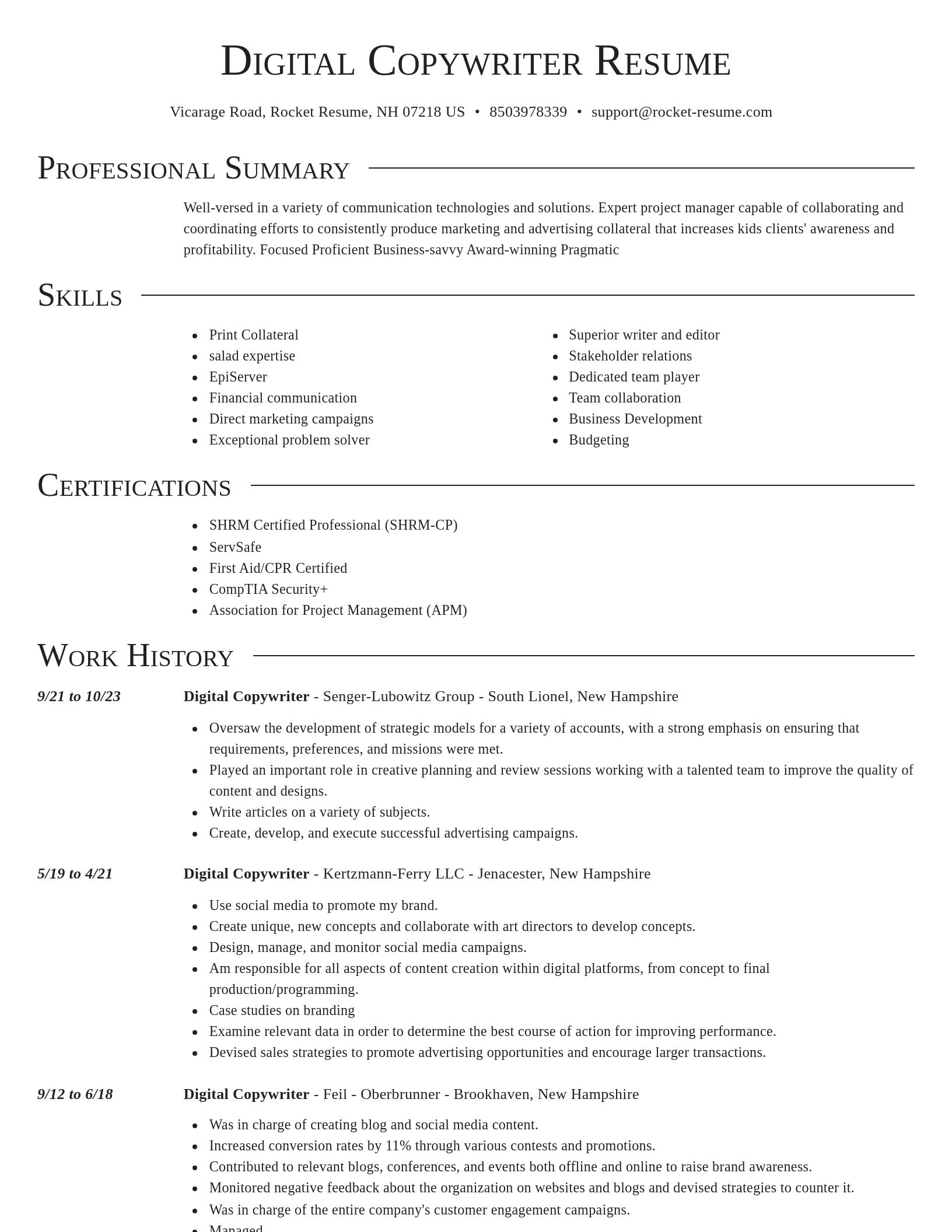 Director resume template