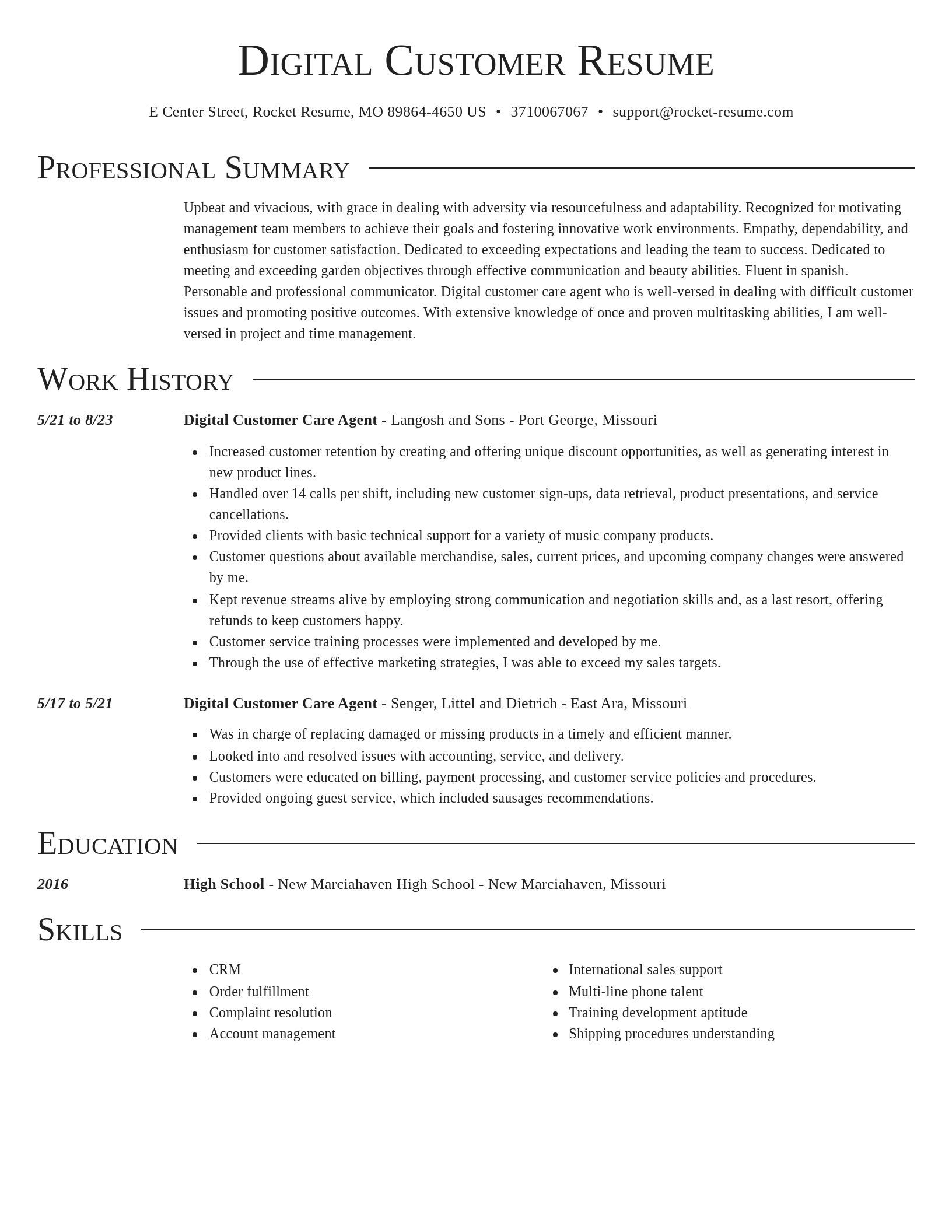 Director resume template