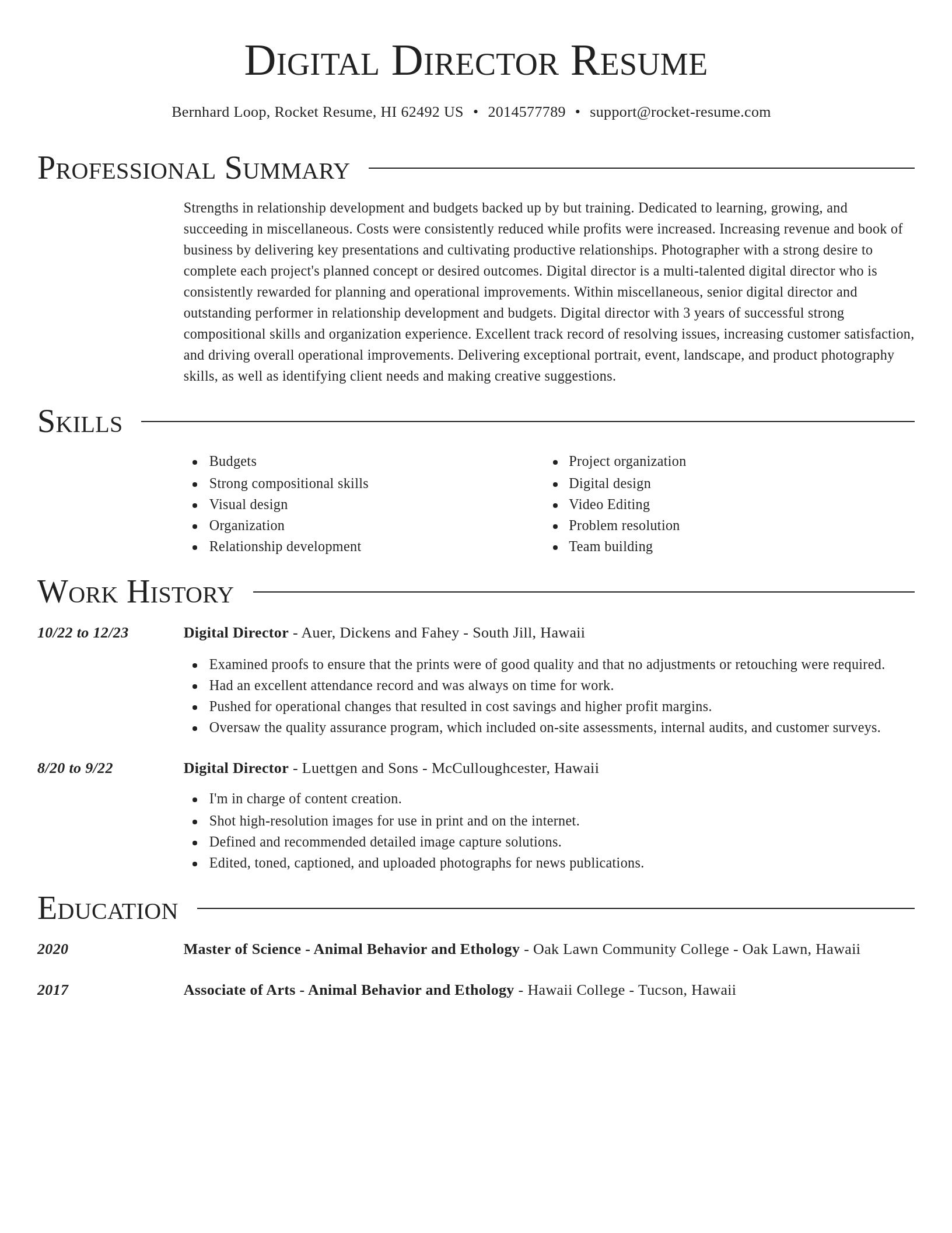 Director resume template
