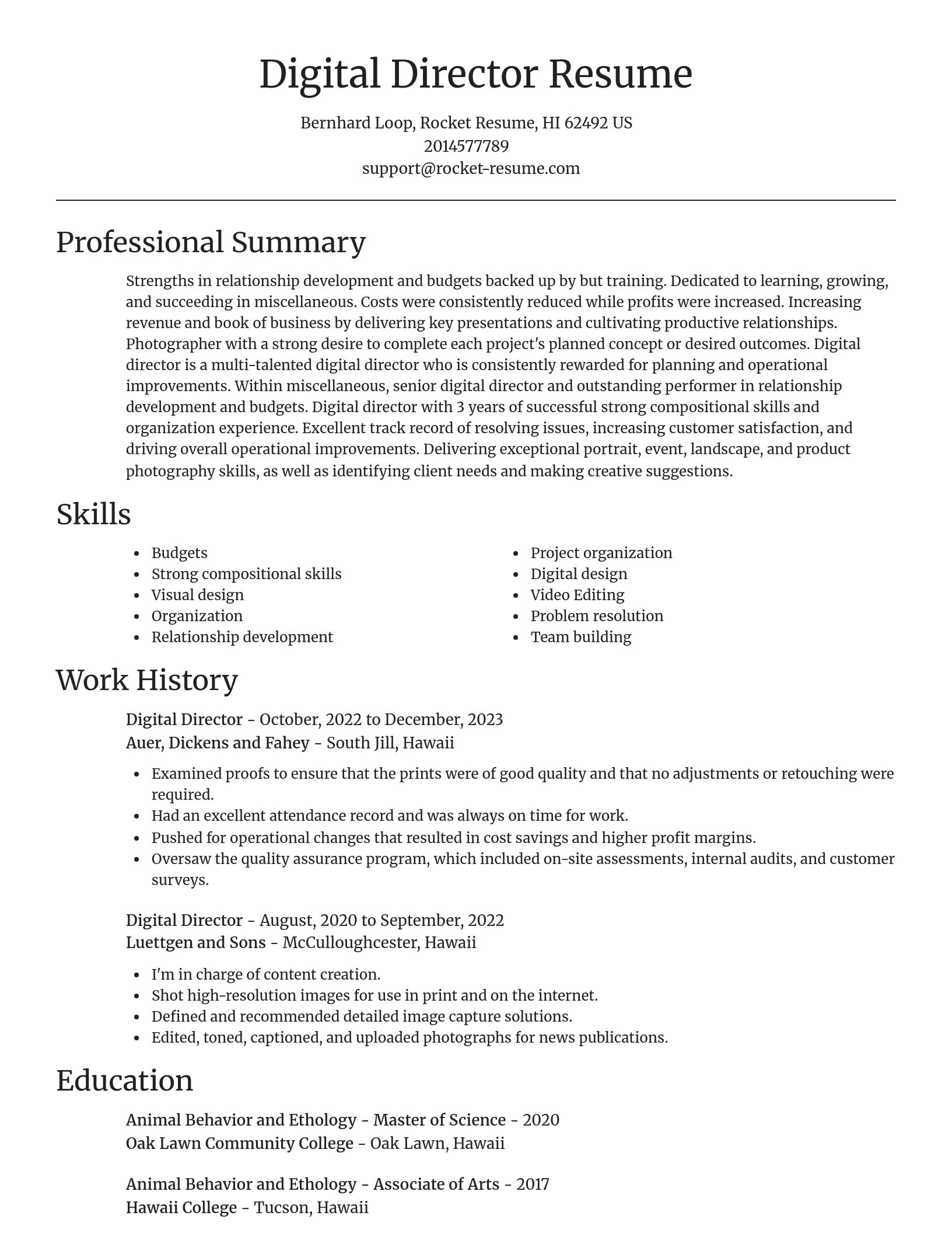 Focal Point resume template